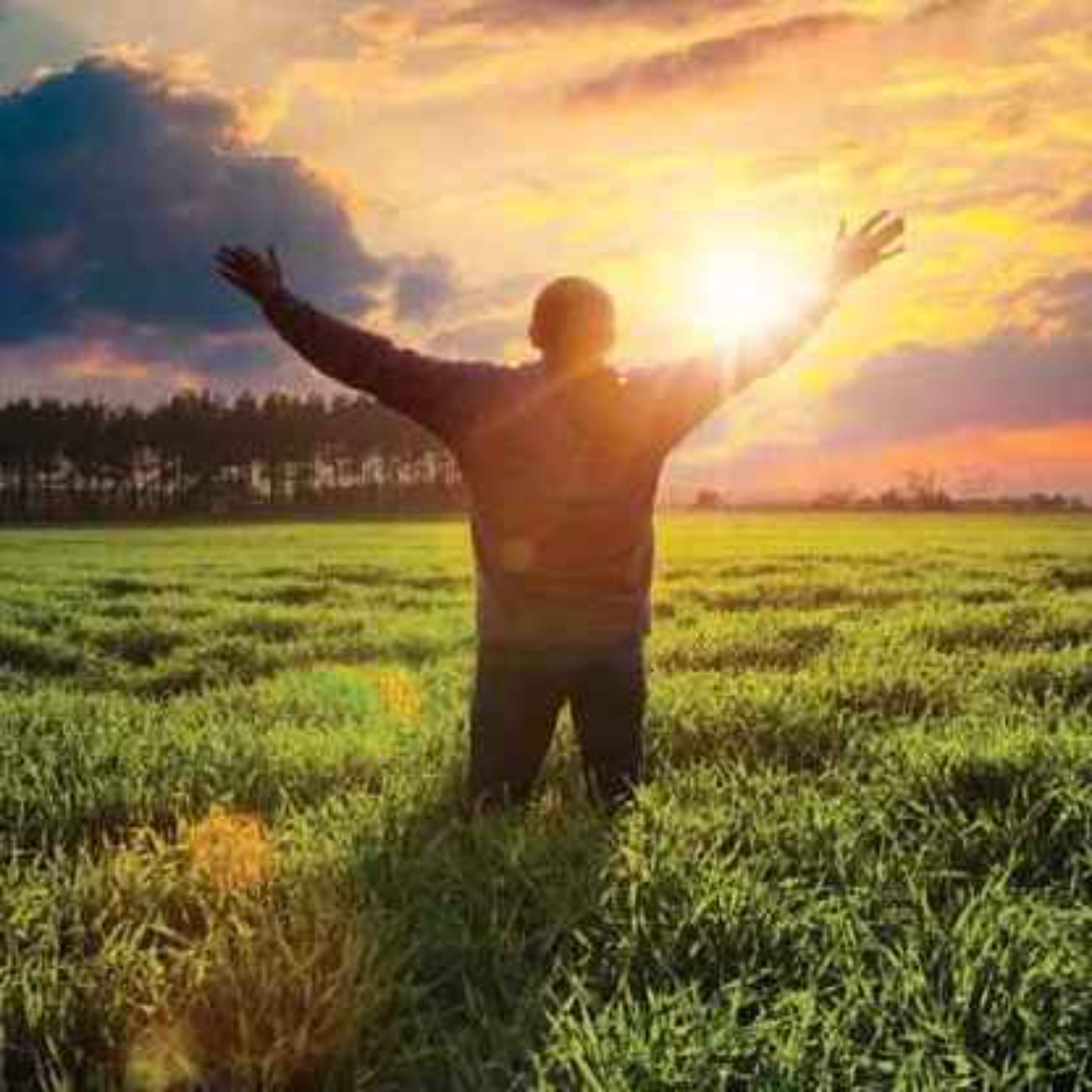 Attitude of Gratitude