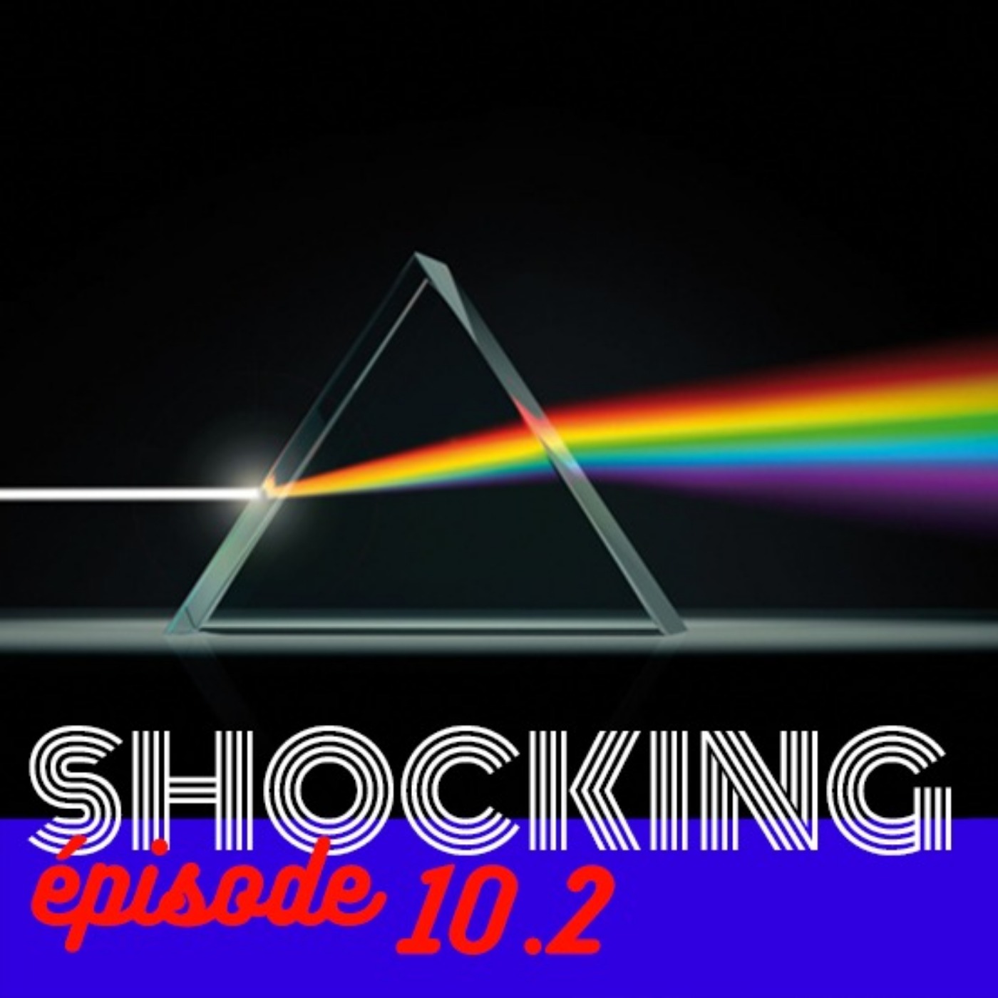 L’enseignement à la loupe 2/2, avec Cécile de Hosson – SHOCKING #10 - podcast episode cover