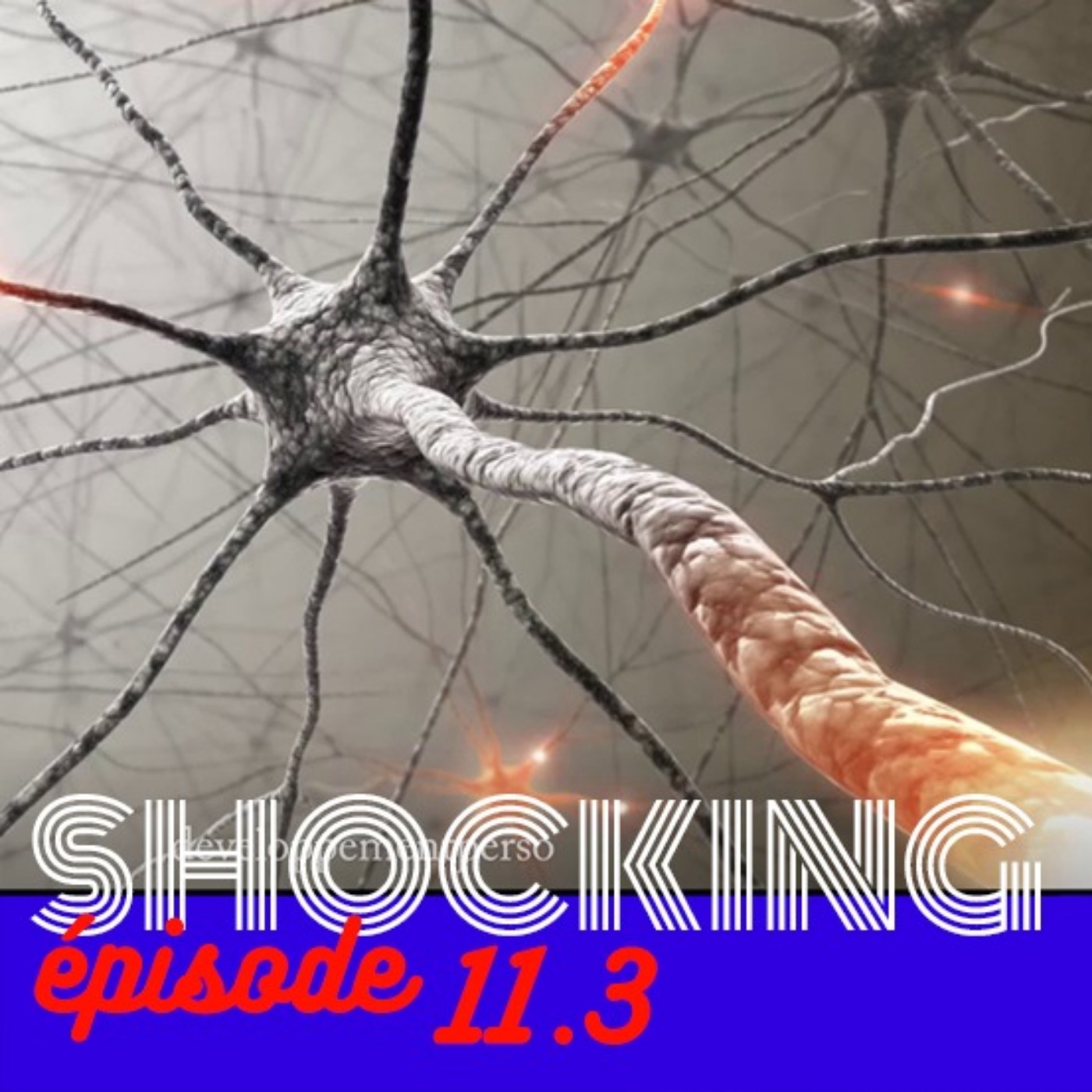 L'astrologie, ça marche !... Trop. 3/5, avec Serge Bret-Morel - SHOCKING #11 - podcast episode cover