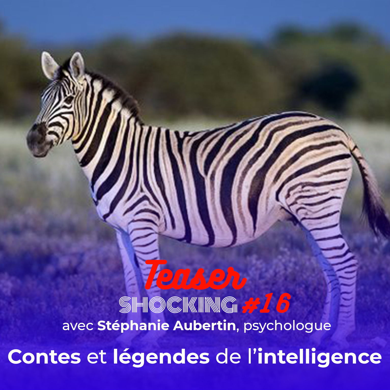 Contes et légendes de l'intelligence (Teaser), avec Stéphanie Aubertin — SHOCKING #16 - podcast episode cover