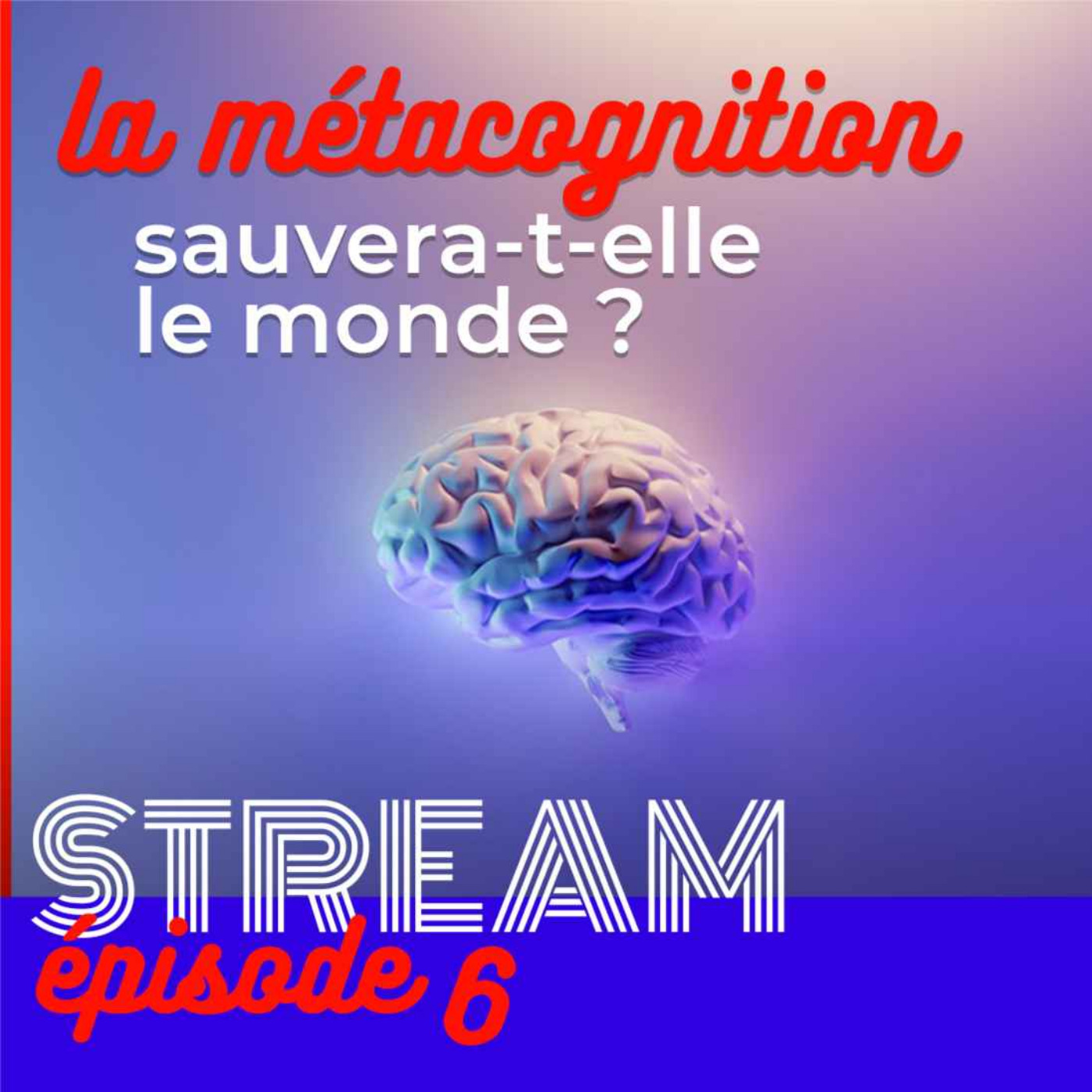 La métacognition sauvera-t-elle le monde ? — STREAM #6 - podcast episode cover