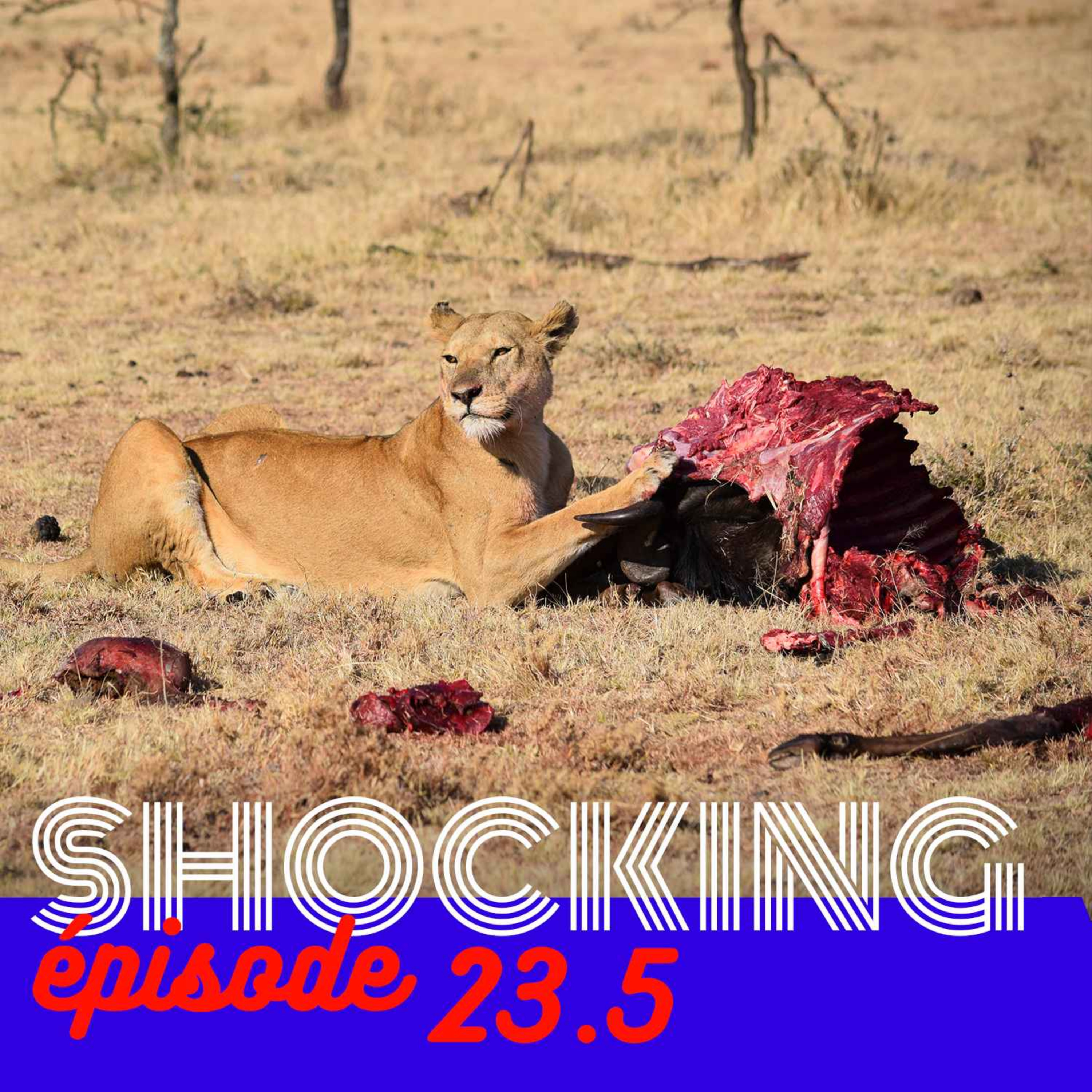 Yoga, super-pouvoirs et secte sexuelle 5/6, avec Geoffrey L'anonyme — SHOCKING #23 - podcast episode cover