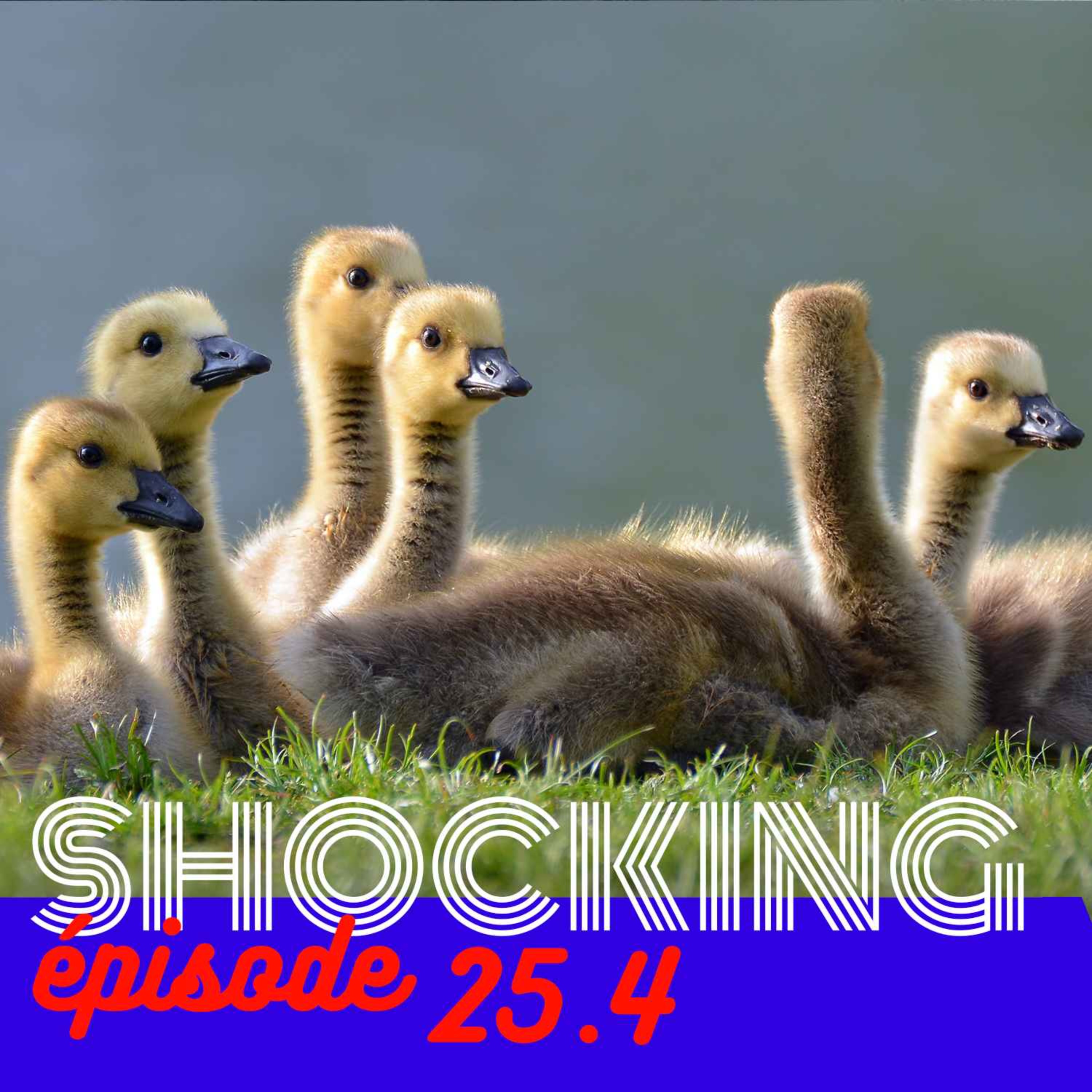 Que vaut la psychanalyse ? 4/6, avec Jacques Van Rillaer — SHOCKING #25