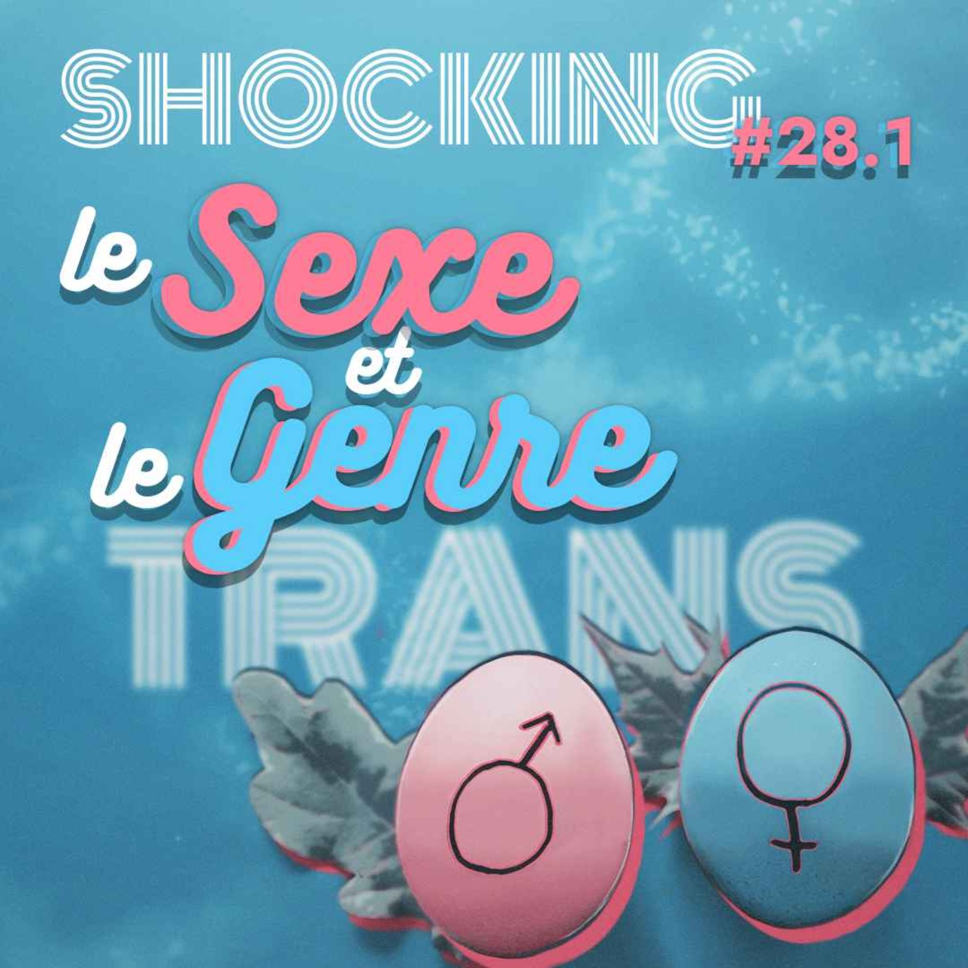 La transidentité, au-delà des apparences 1/9, avec Chayka — SHOCKING #28