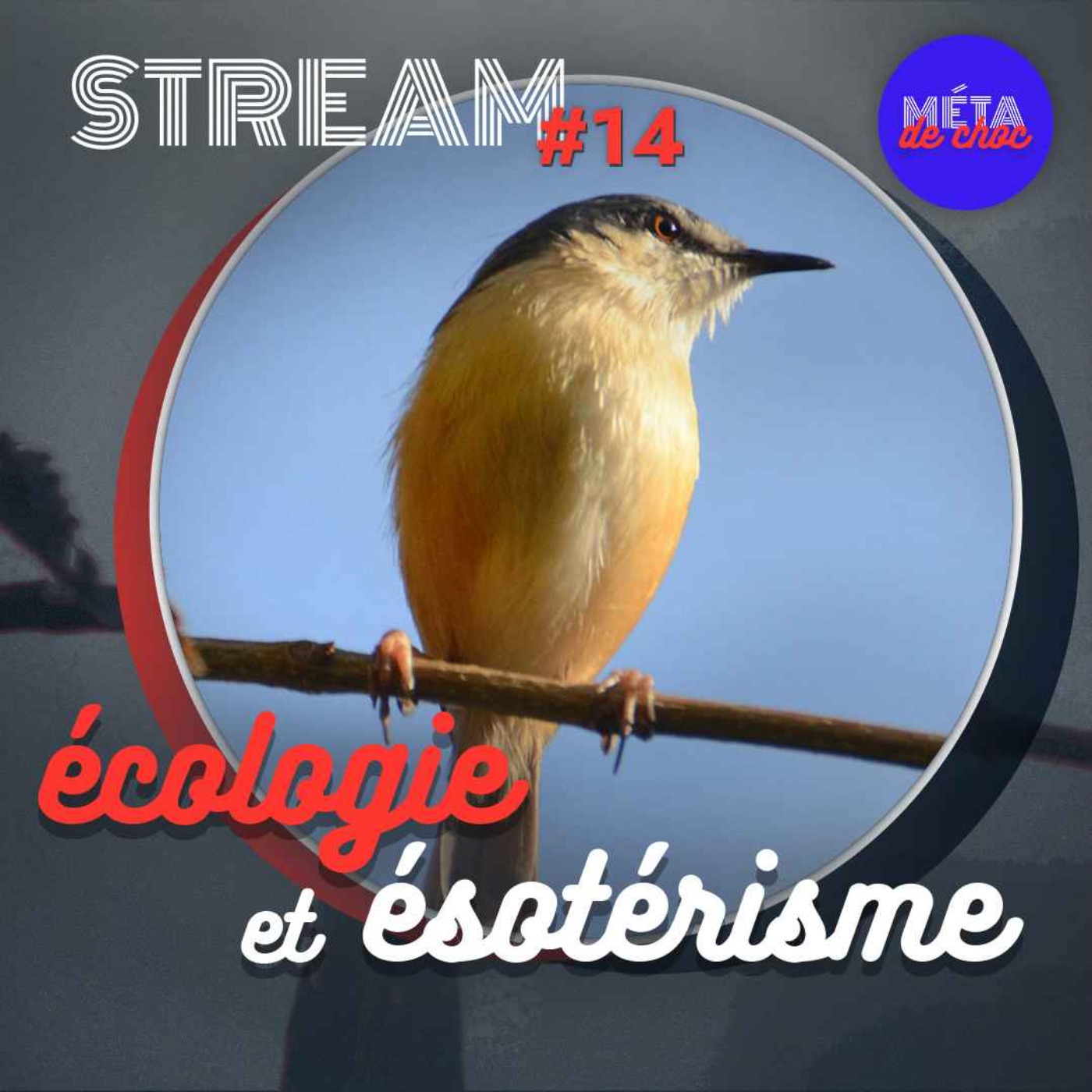 Écologie et ésotérisme — STREAM #14 - podcast episode cover