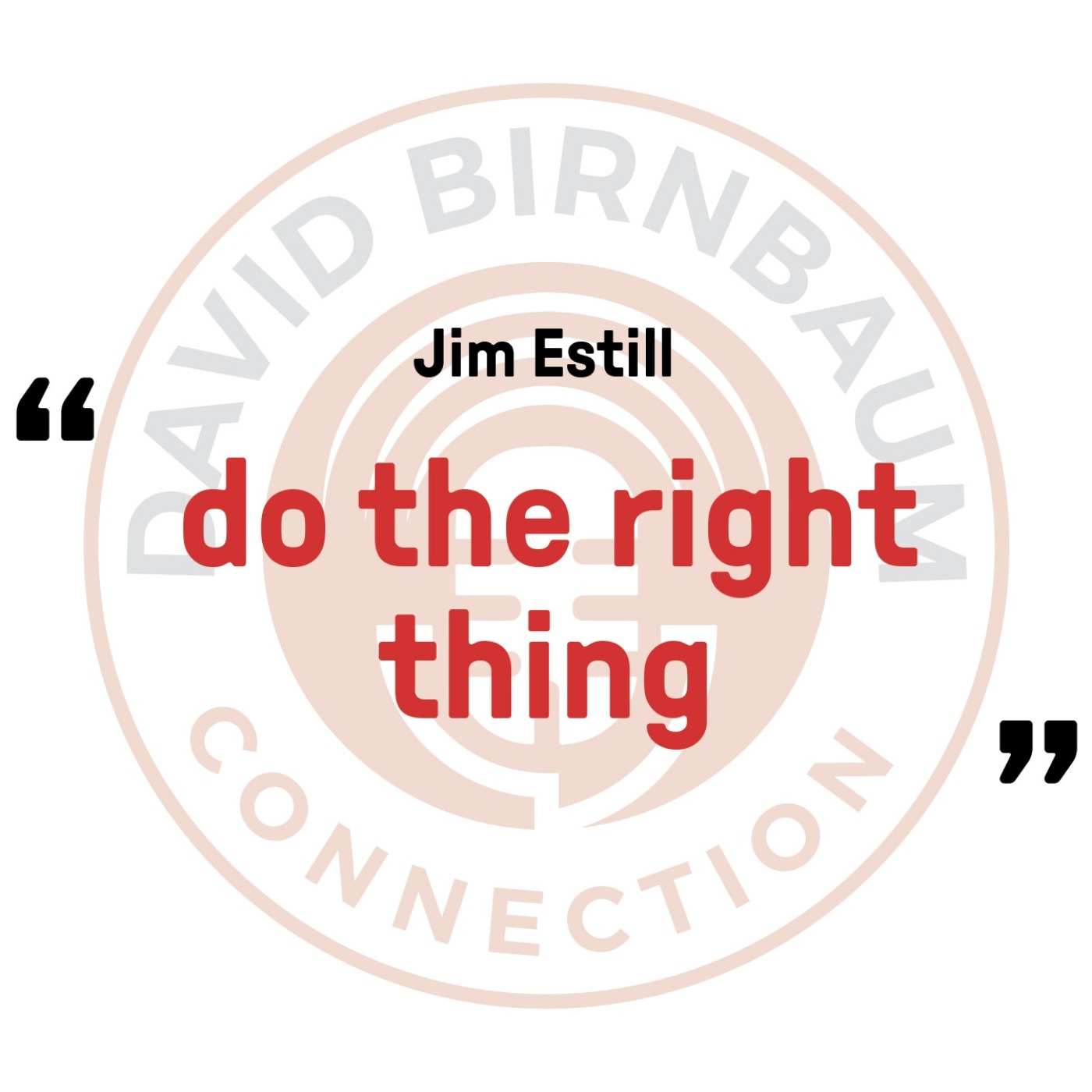 David Birnbaum Connection