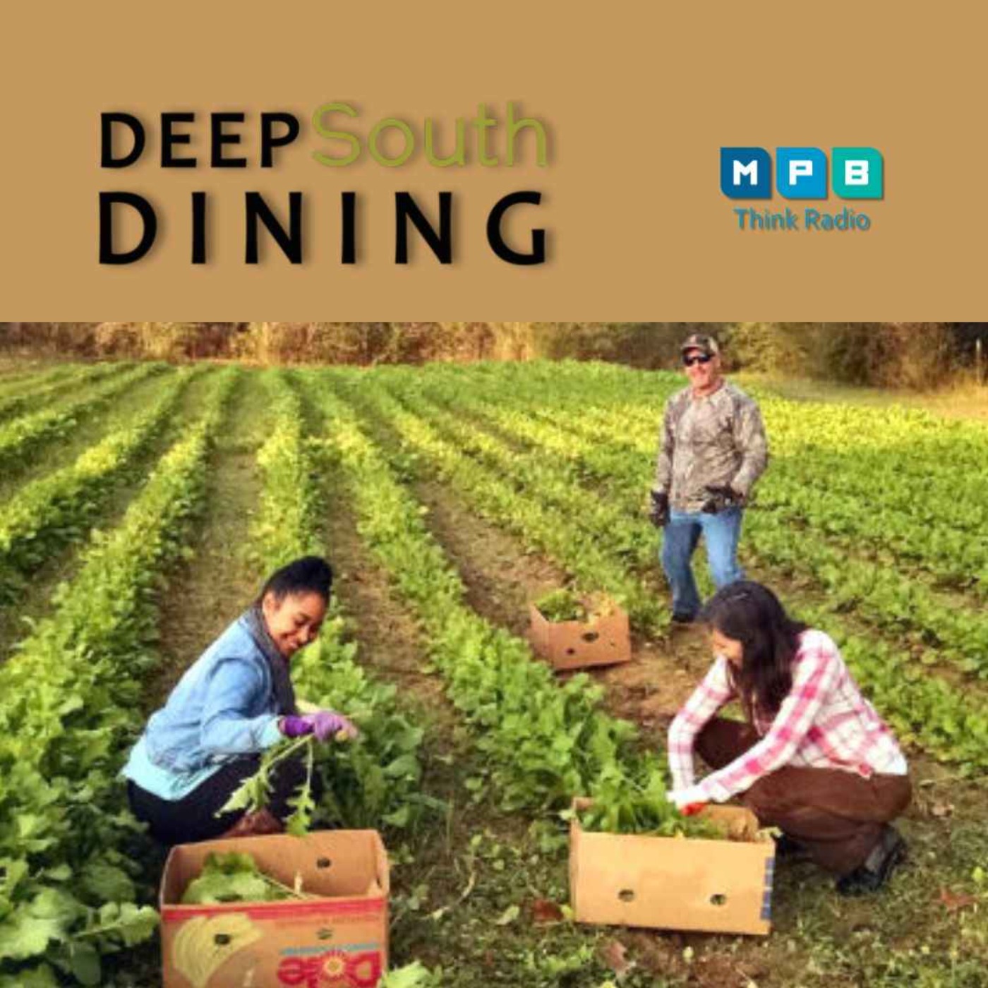 cover art for Deep South Dining | Gleaning to End Hunger