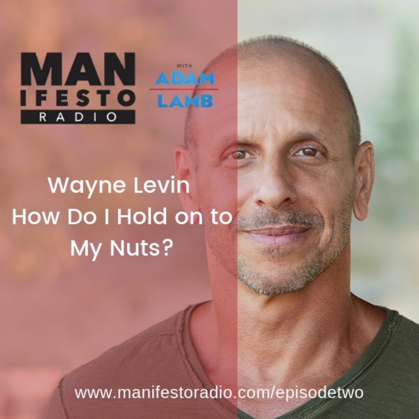 Wayne Levin | How Do I Hold On to My Nuts?