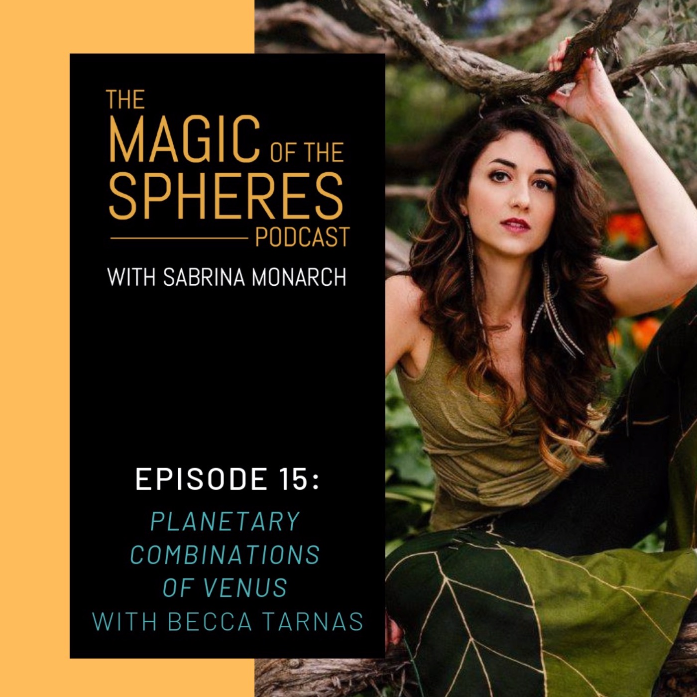 Planetary Combinations of Venus with Becca Tarnas Part 1