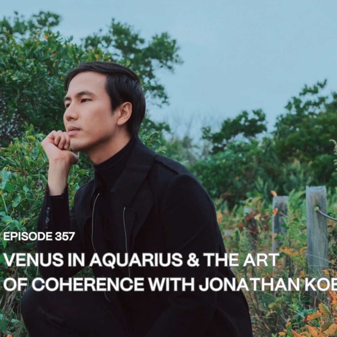 357. Venus in Aquarius & the Art of Coherence with Jonathan Koe episode artwork