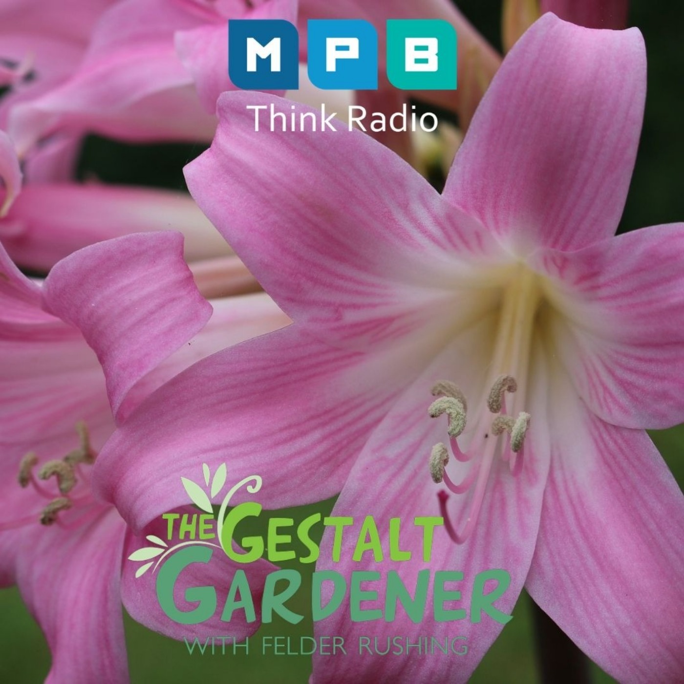 The Gestalt Gardener:  Lilies In Another Field