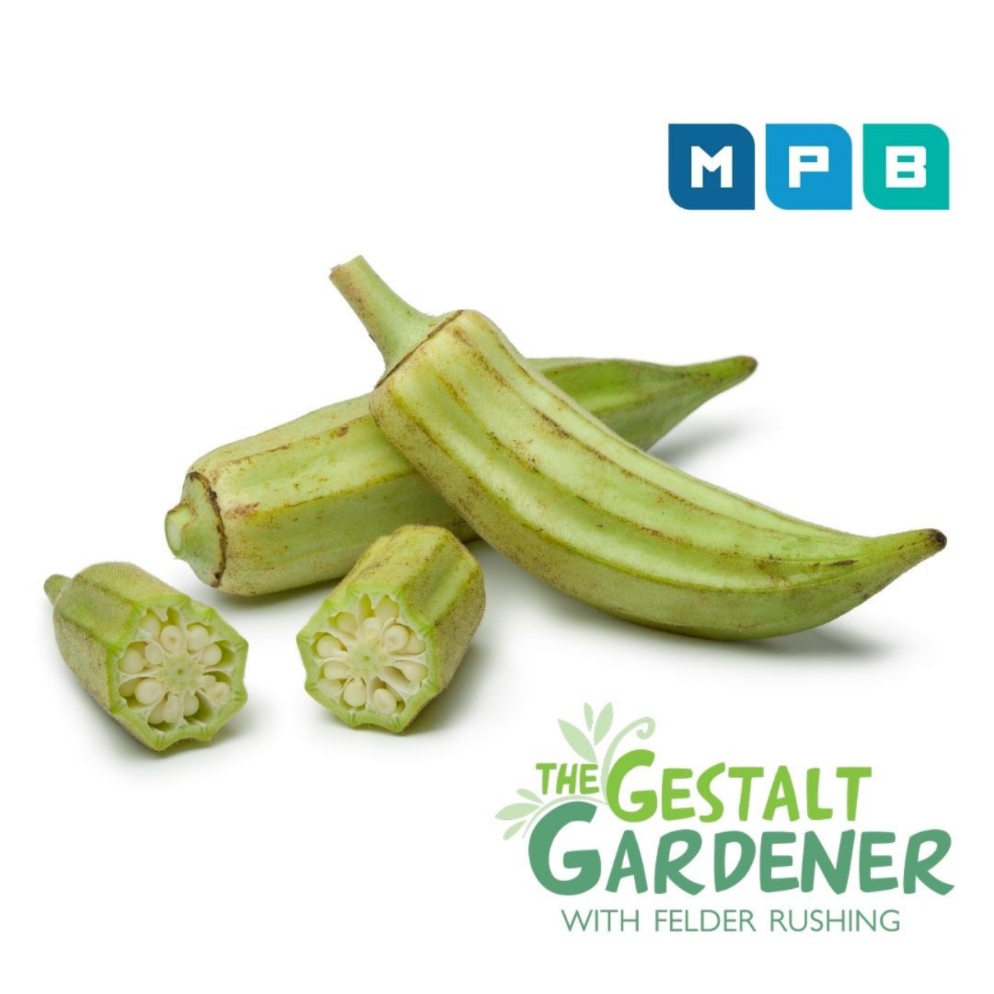 The Gestalt Gardener:  Not Too Late