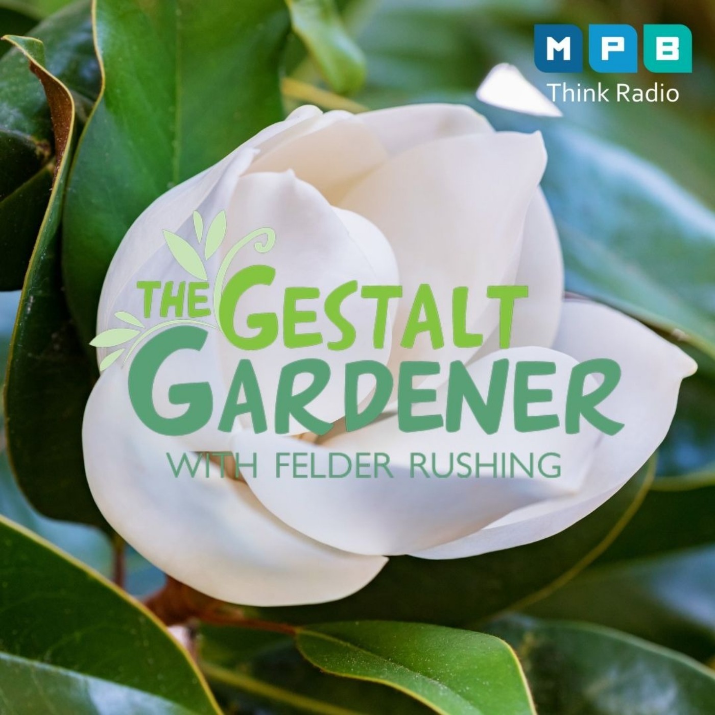 The Gestalt Gardener:  Missing Mississippi