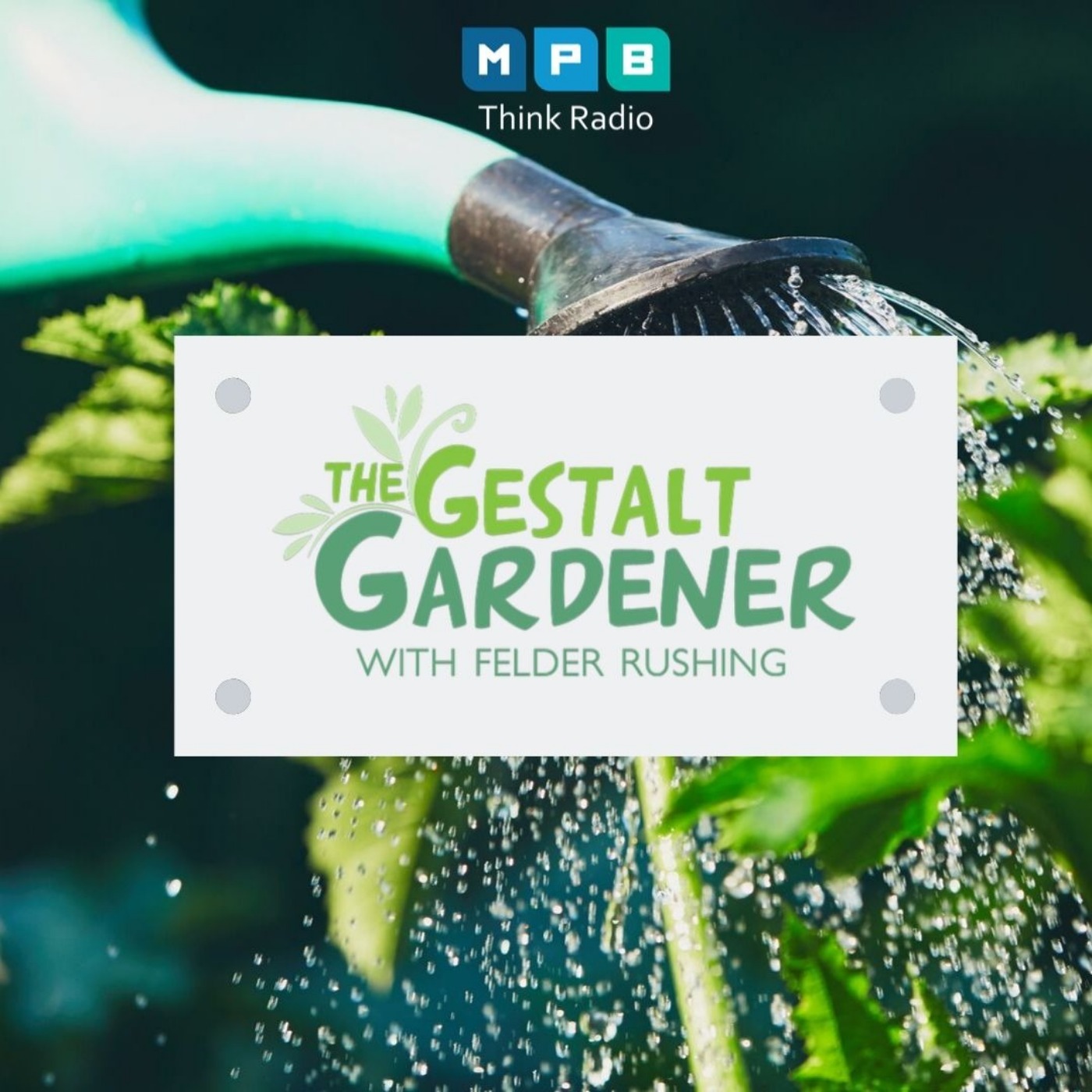 The Gestalt Gardener:  September Water