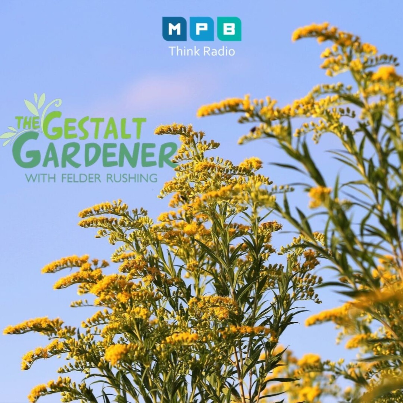 The Gestalt Gardener:  Golden Garden