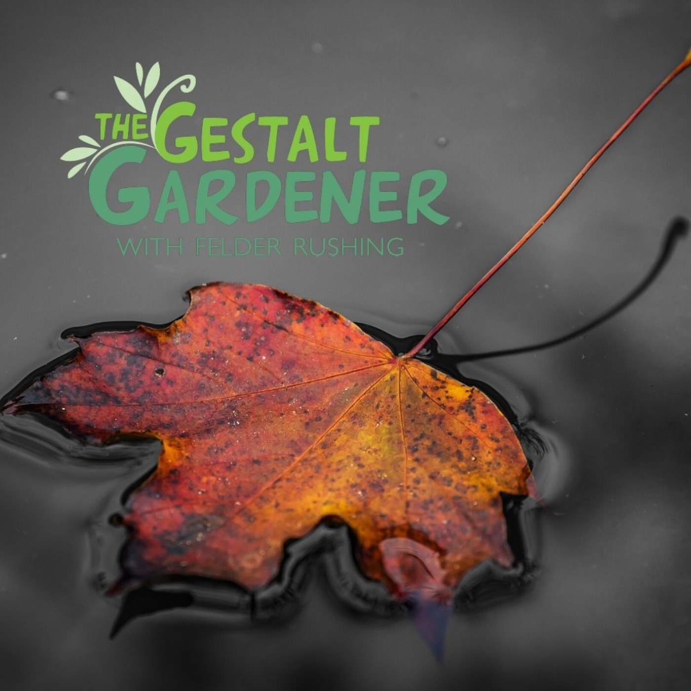 The Gestalt Gardener:  After The Rain