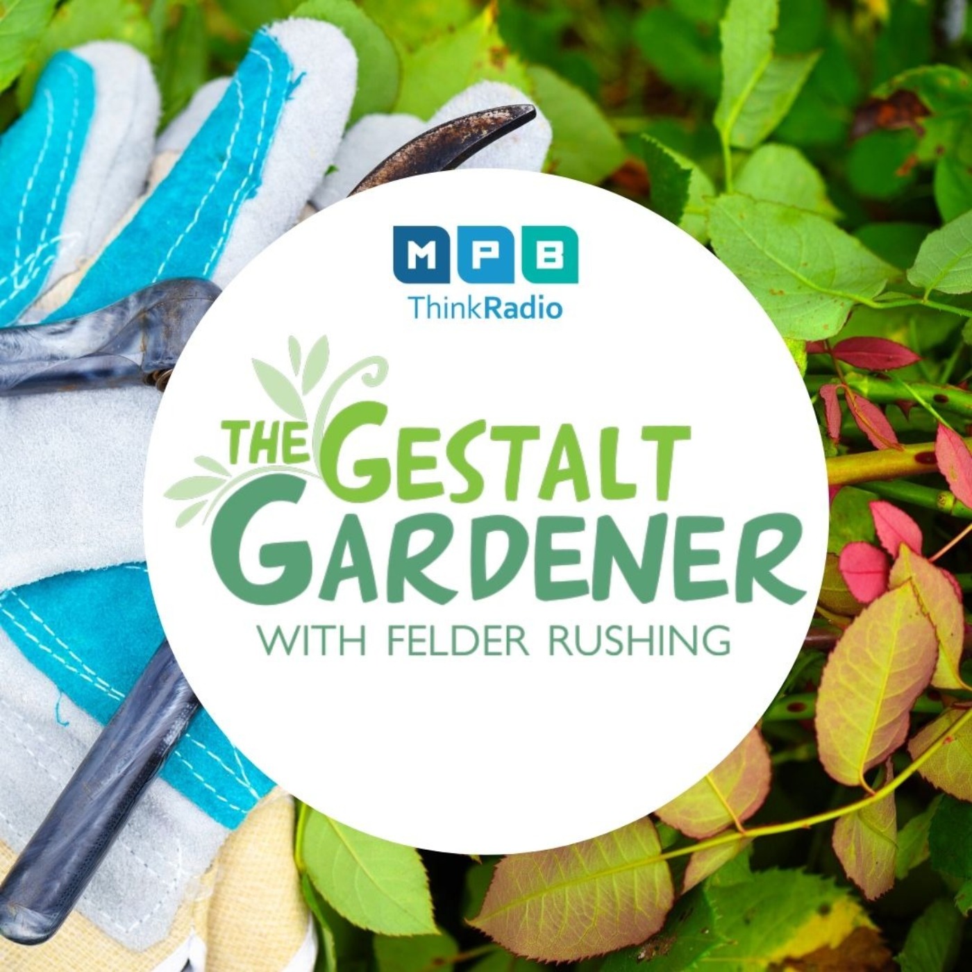 The Gestalt Gardener | Pat Stone and More