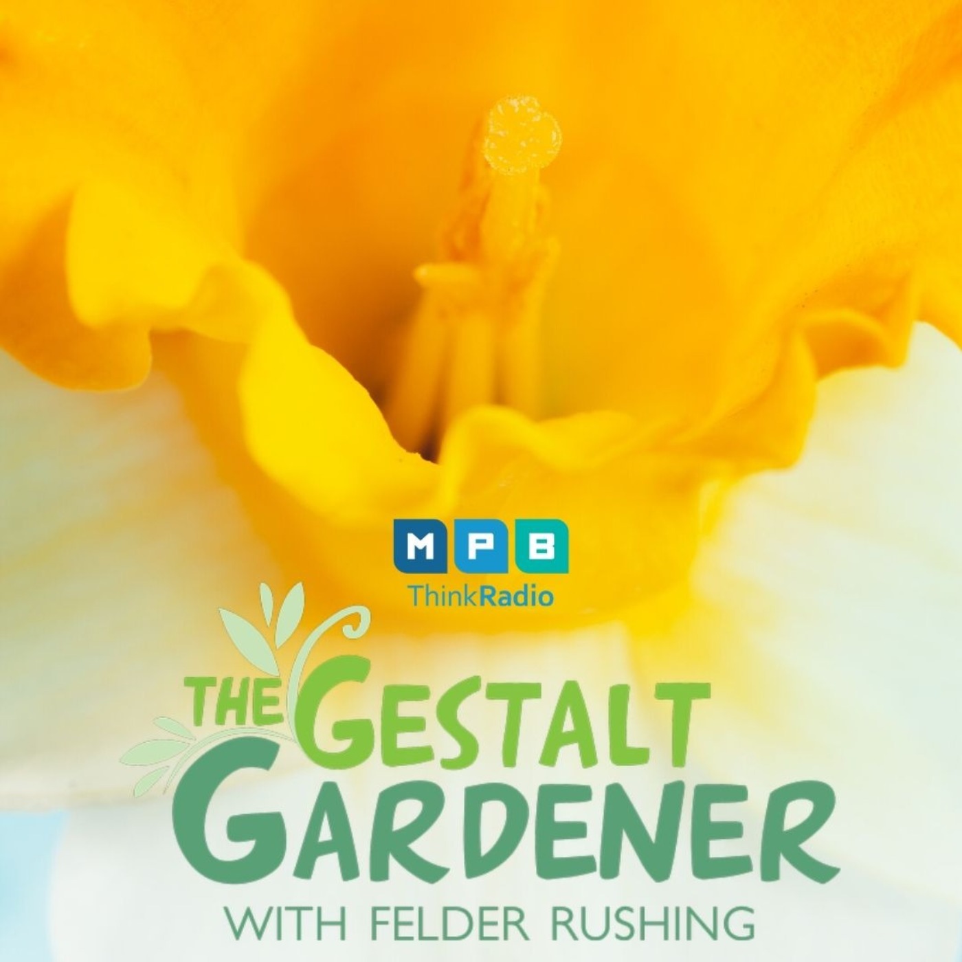 The Gestalt Gardener: Felder's Favorites