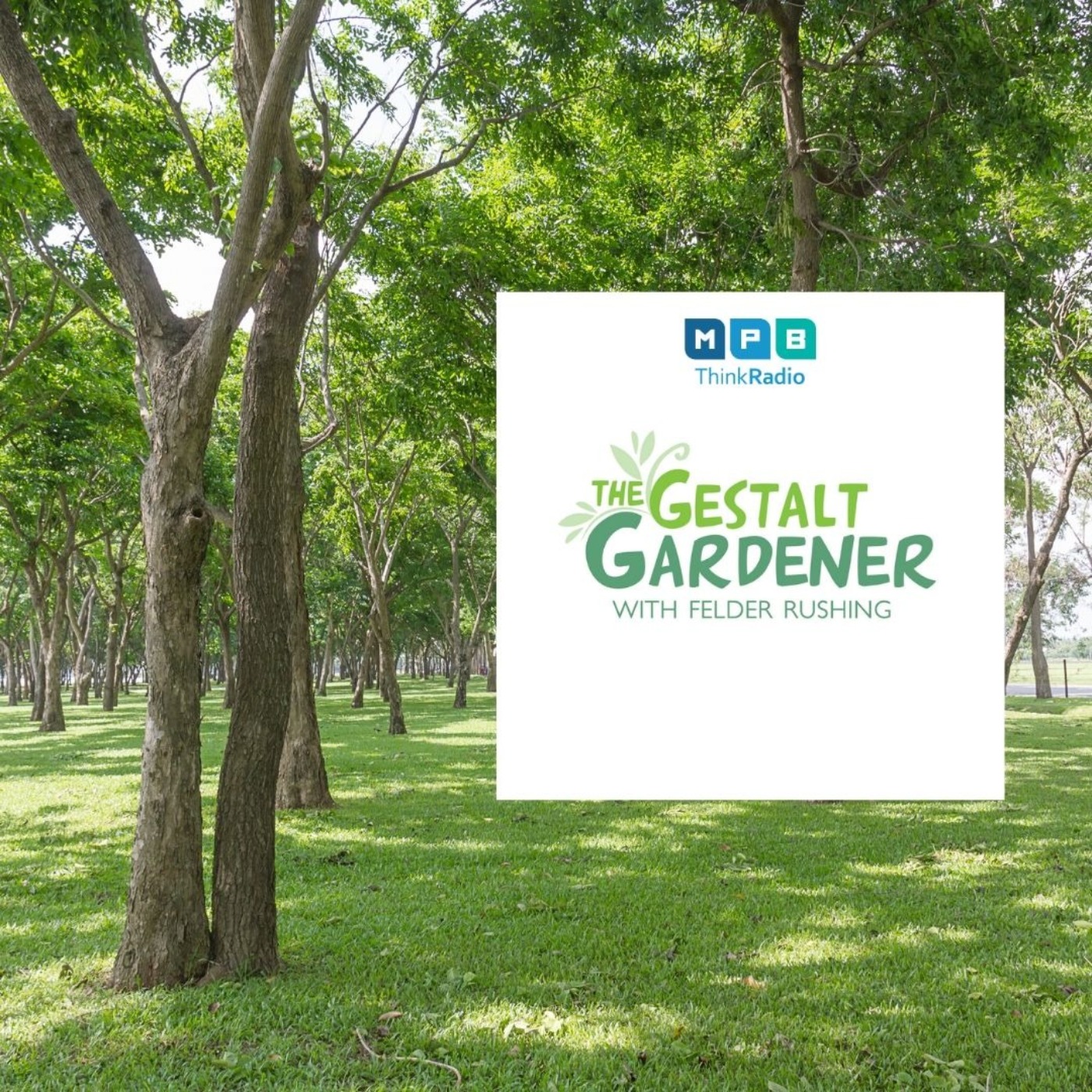 The Gestalt Gardener:  Planting Trees
