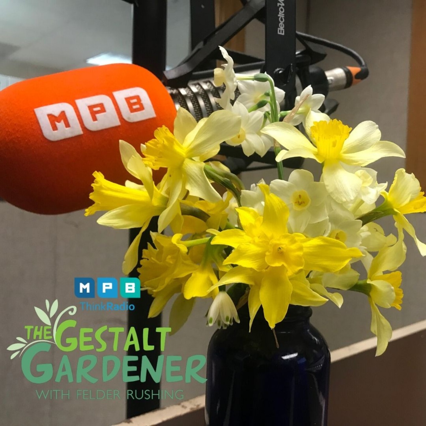 The Gestalt Gardener:  Back in Black