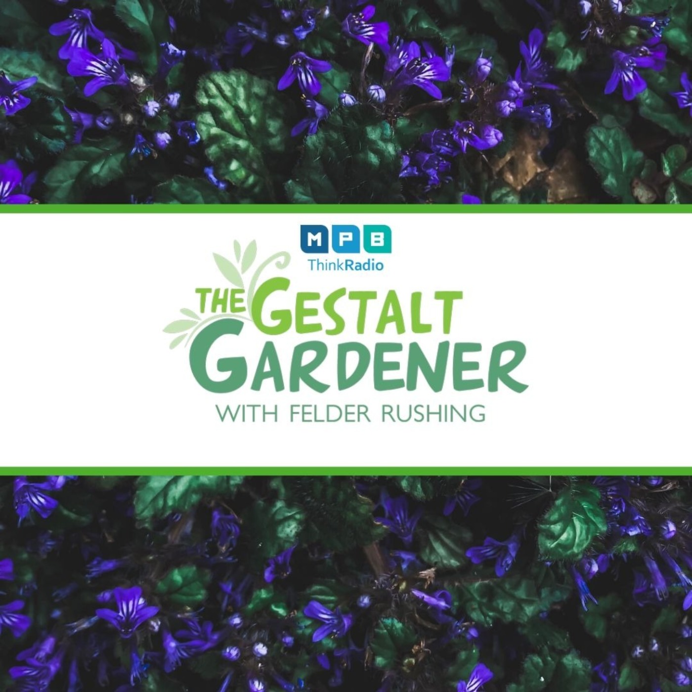 The Gestalt Gardener:  Purple Teepee