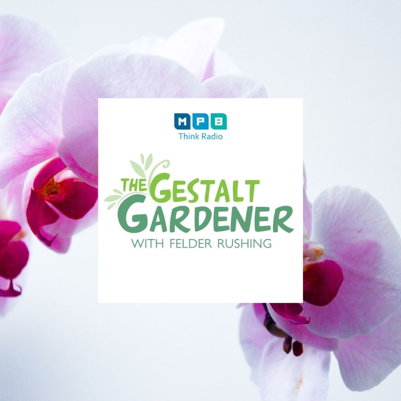 The Gestalt Gardener: Healing Garden