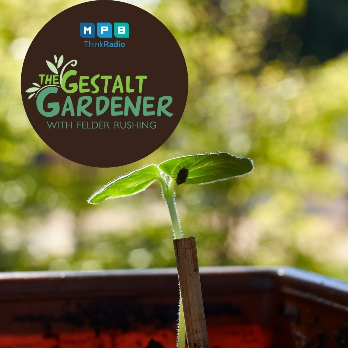 The Gestalt Gardener:  Walking the Garden