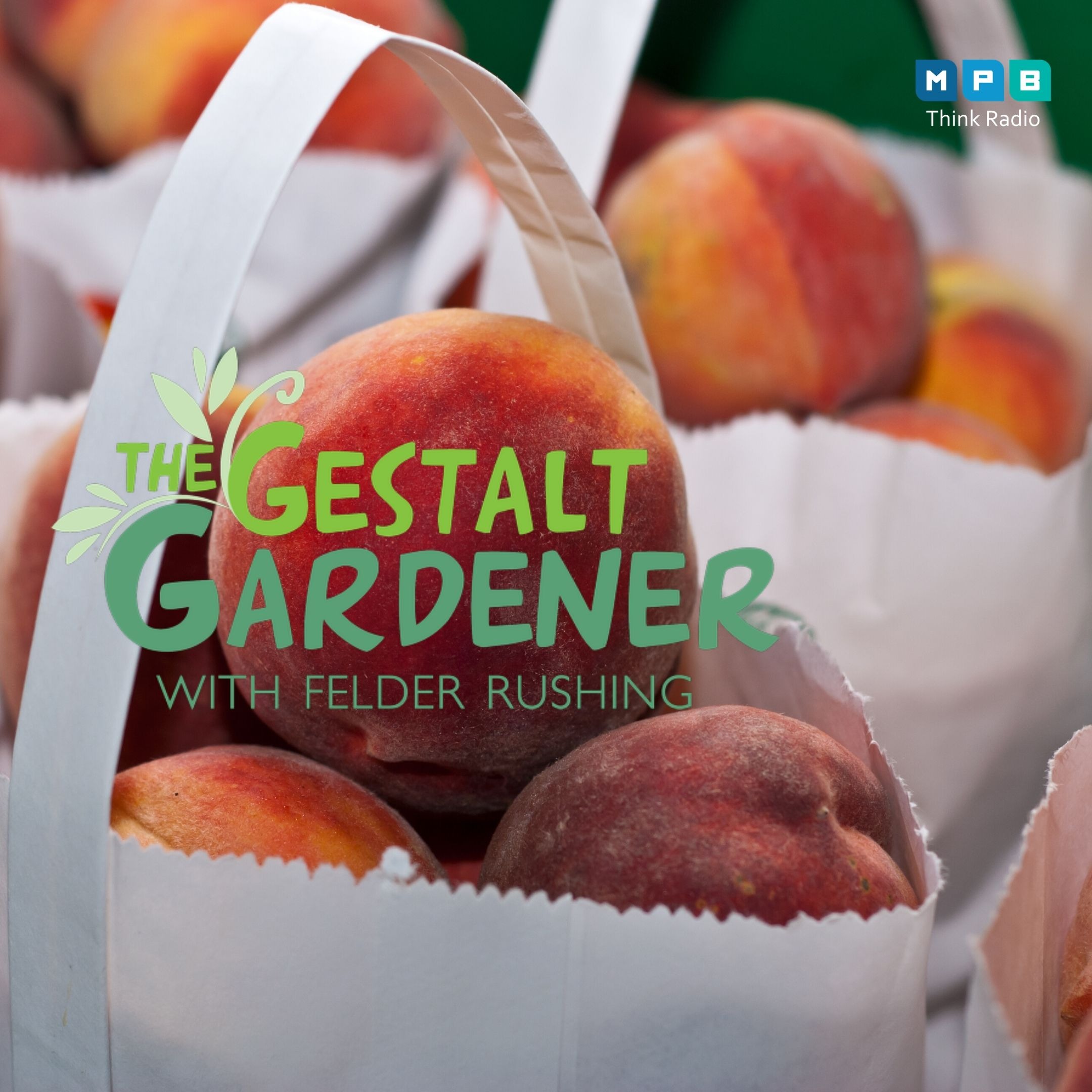 The Gestalt Gardener:  These Peaches