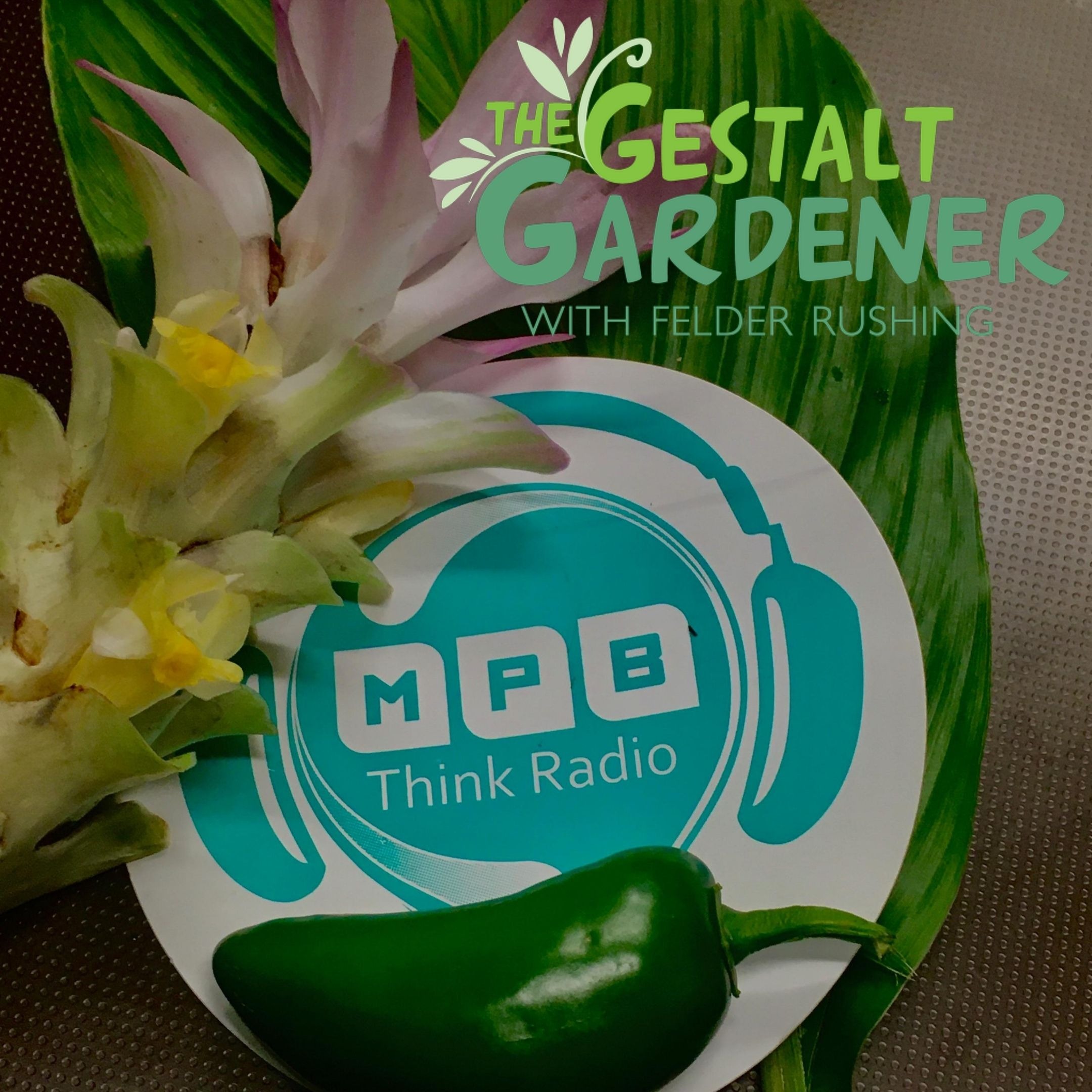 The Gestalt Gardener | Pepper Smoke