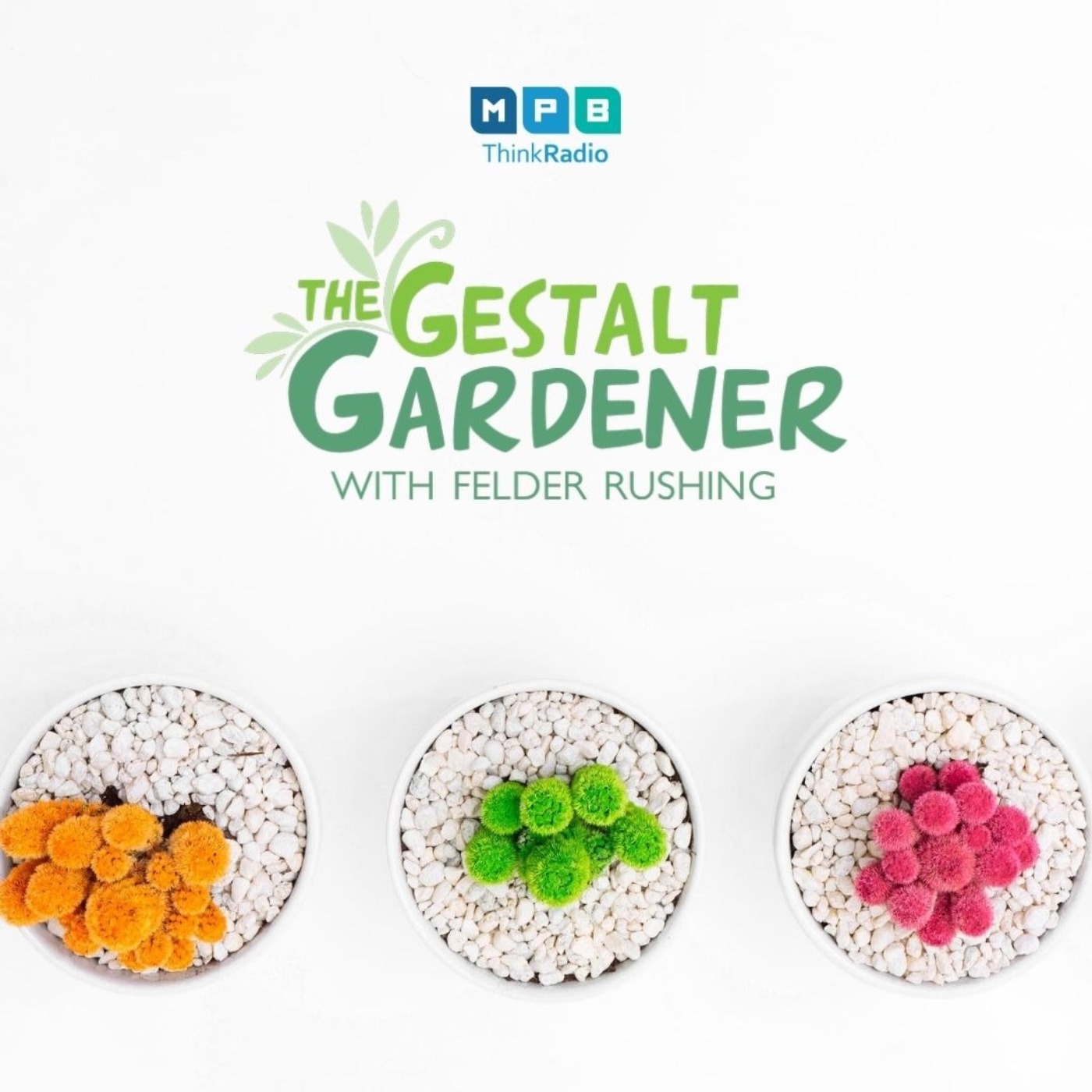 The Gestalt Gardener | Summer Summer