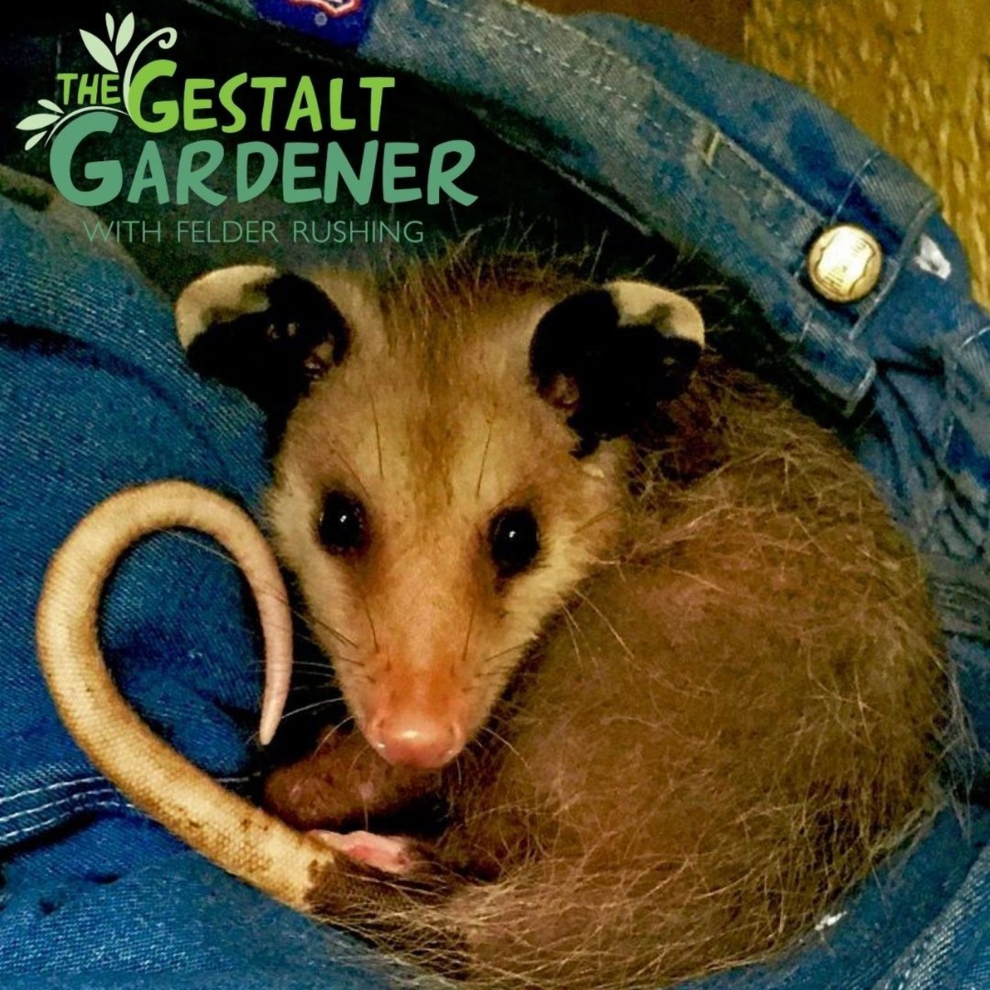 The Gestalt Gardener | Bye Bye Pogo