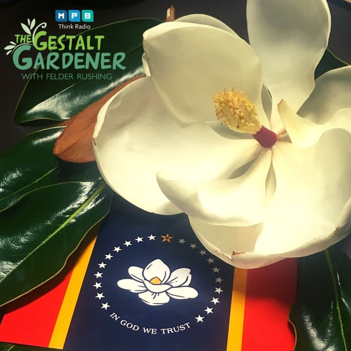 The Gestalt Gardener | Mighty Magnolia