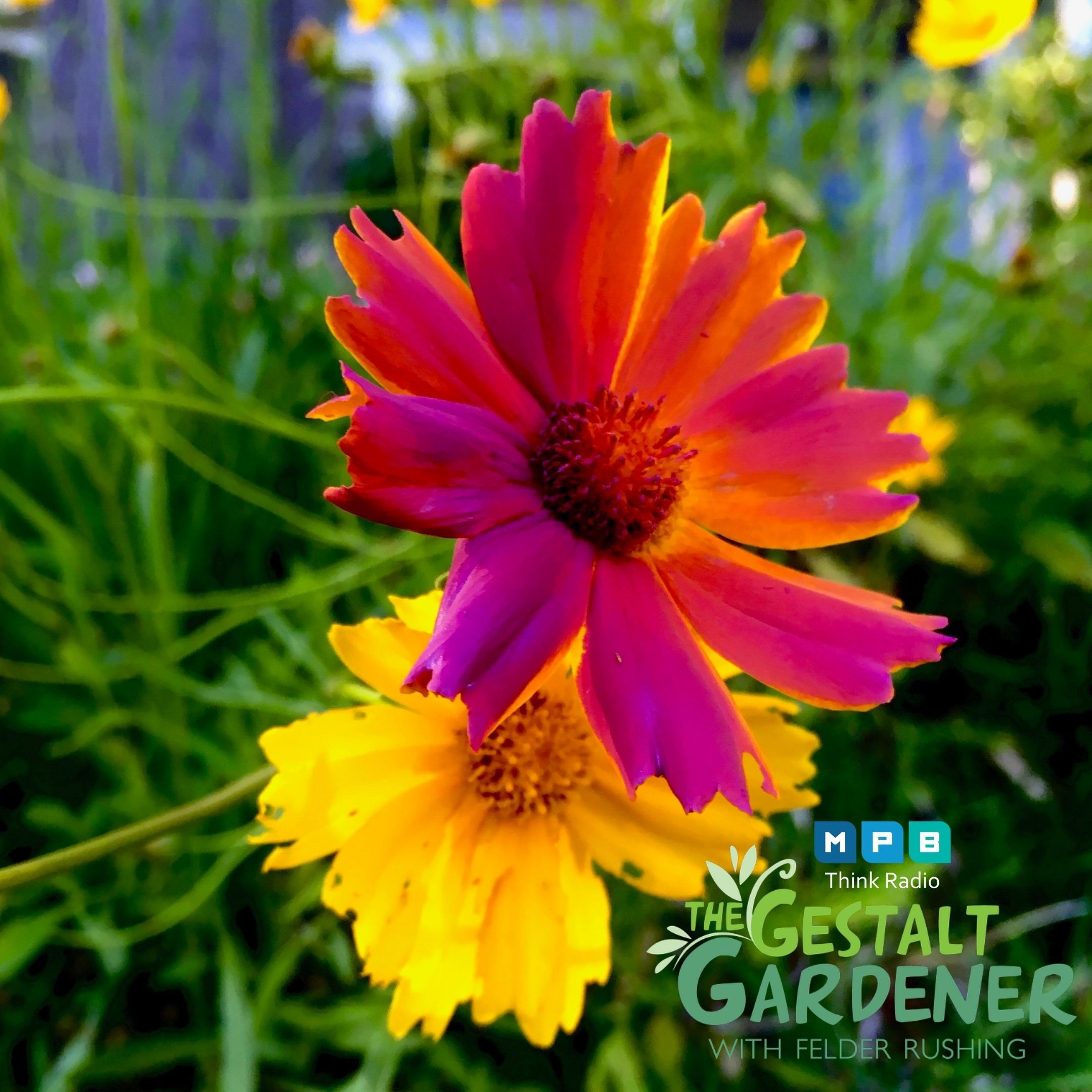 The Gestalt Gardener | Just A Little Paint