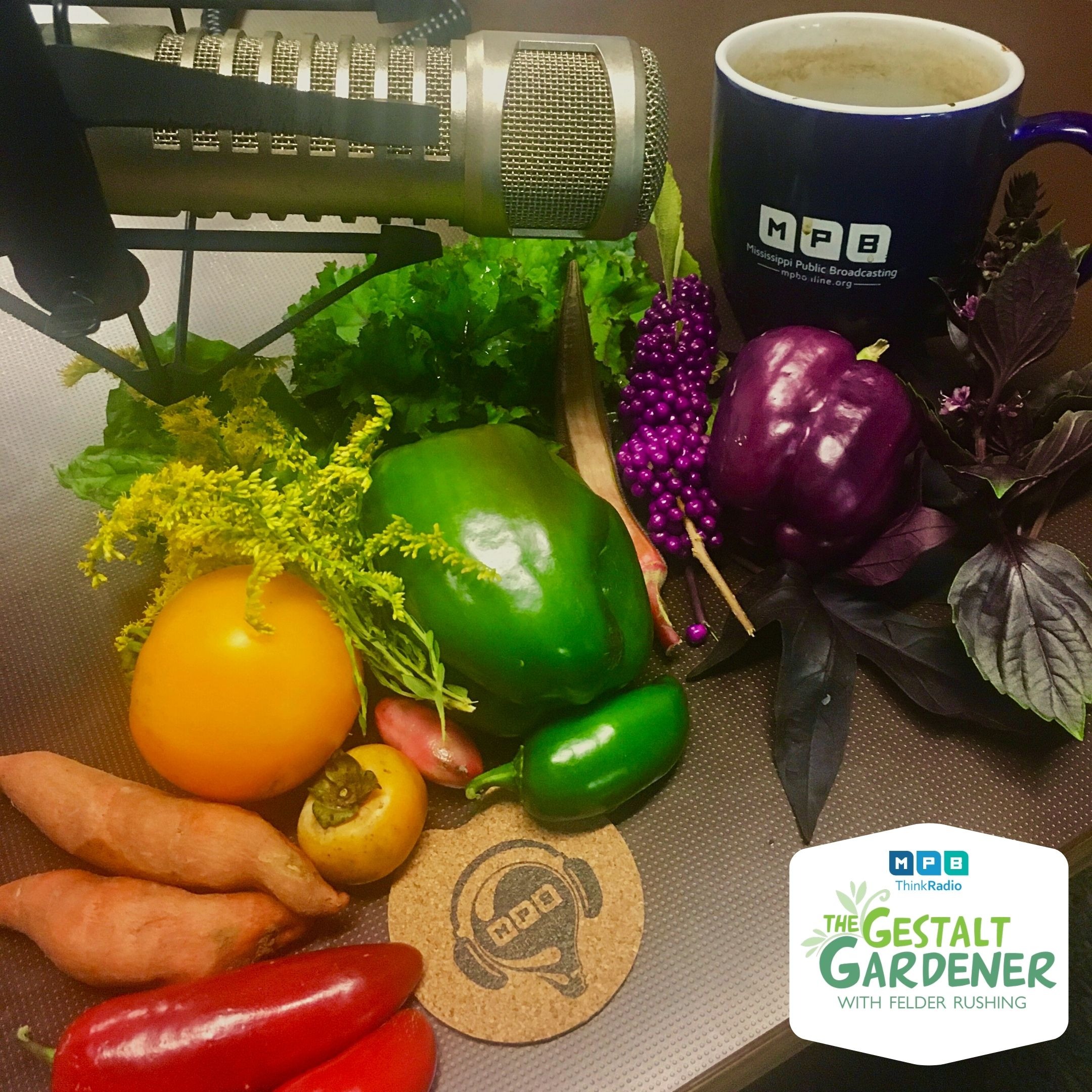 The Gestalt Gardener | Rainbow Garden