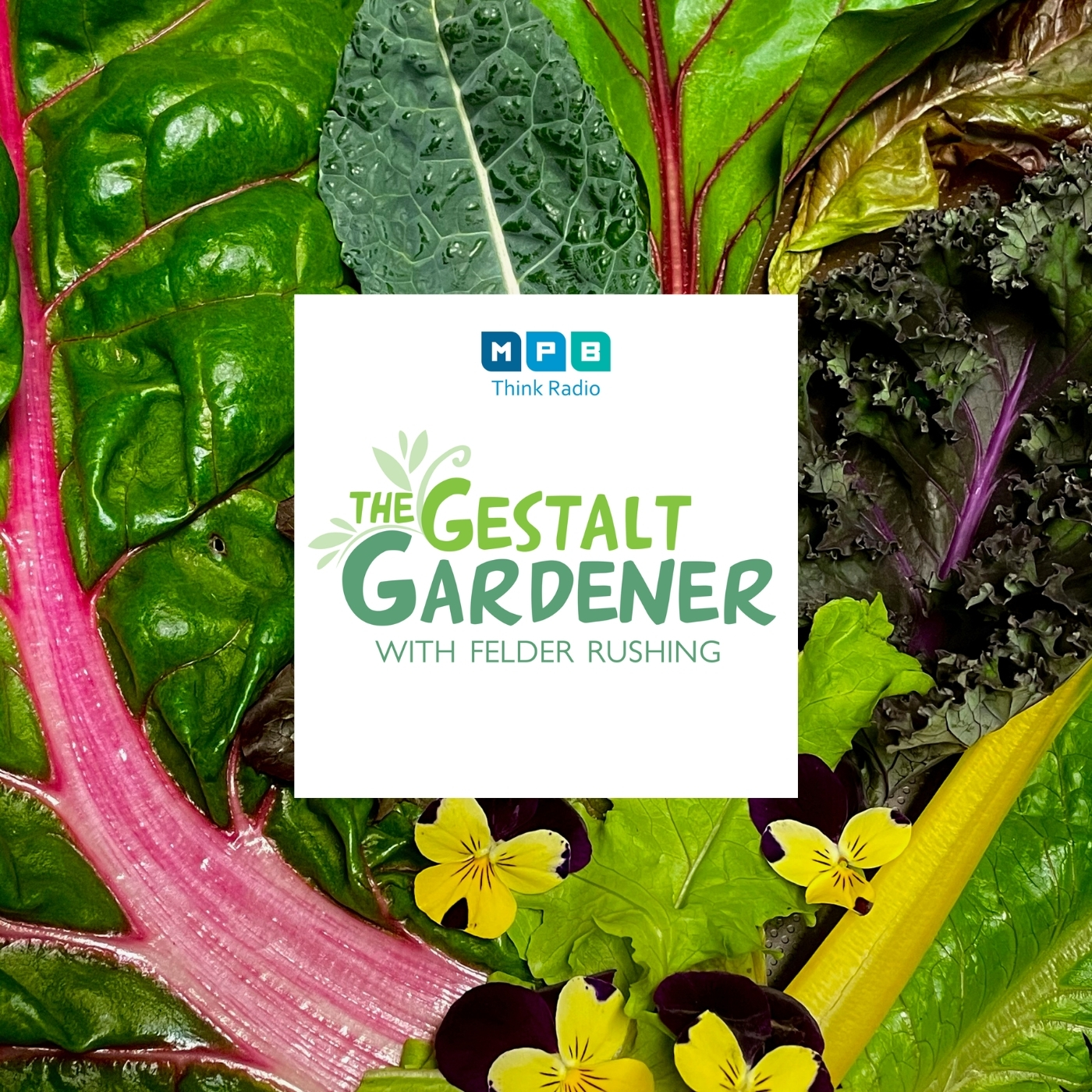 The Gestalt Gardener | Before the Road