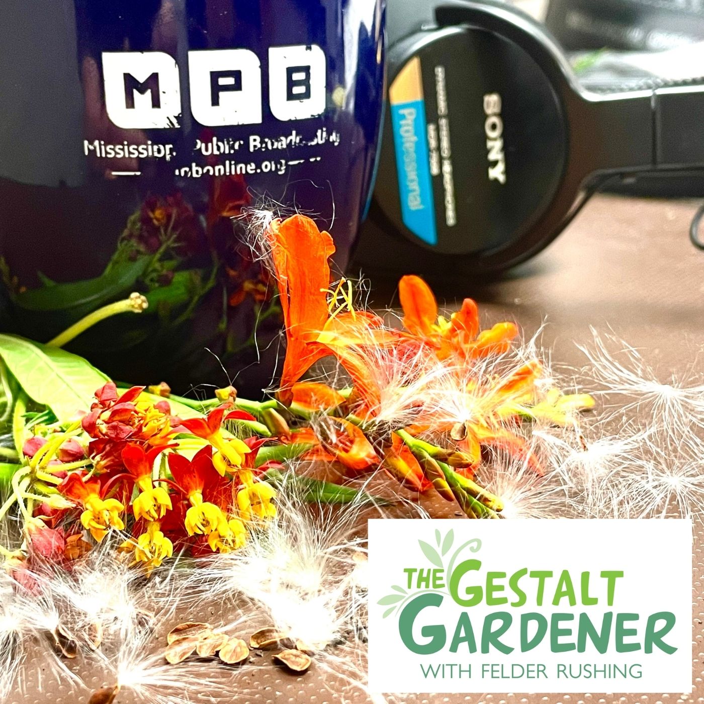 cover art for The Gestalt Gardener | Smug Mug