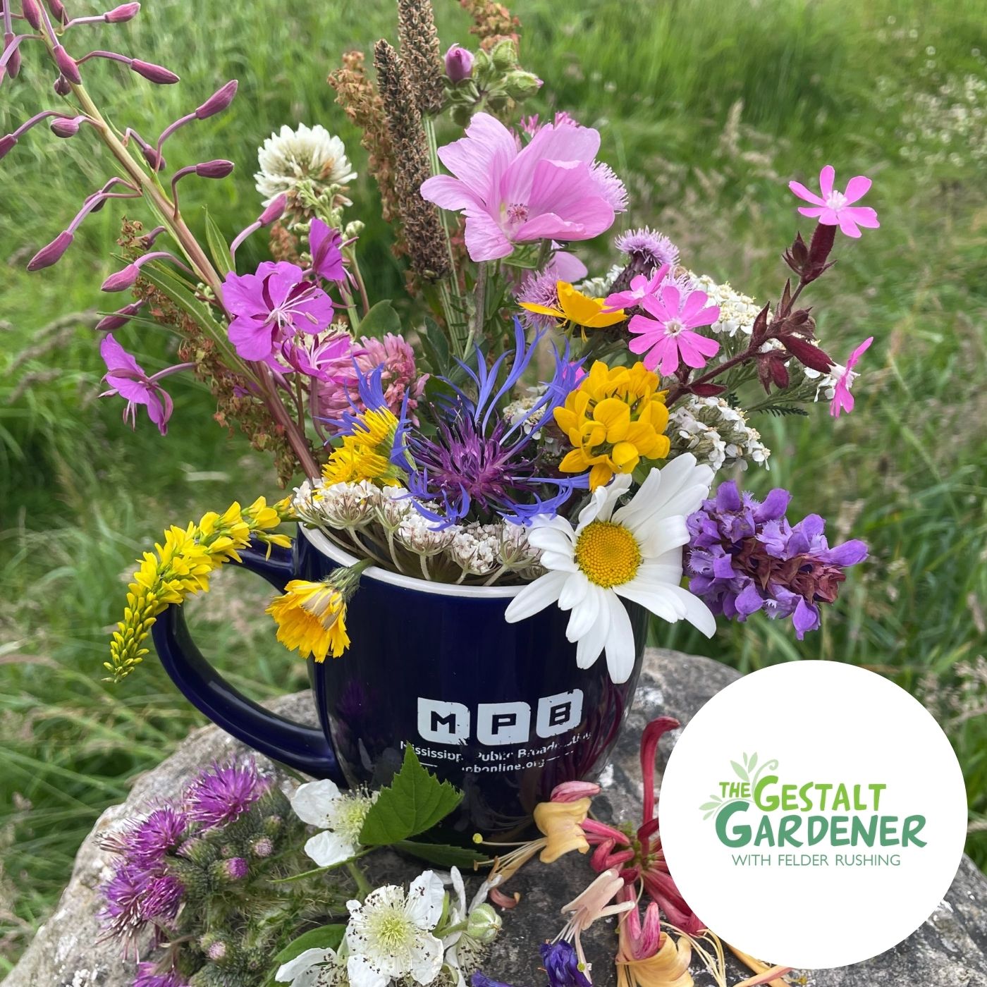The Gestalt Gardener | New Mug Felder