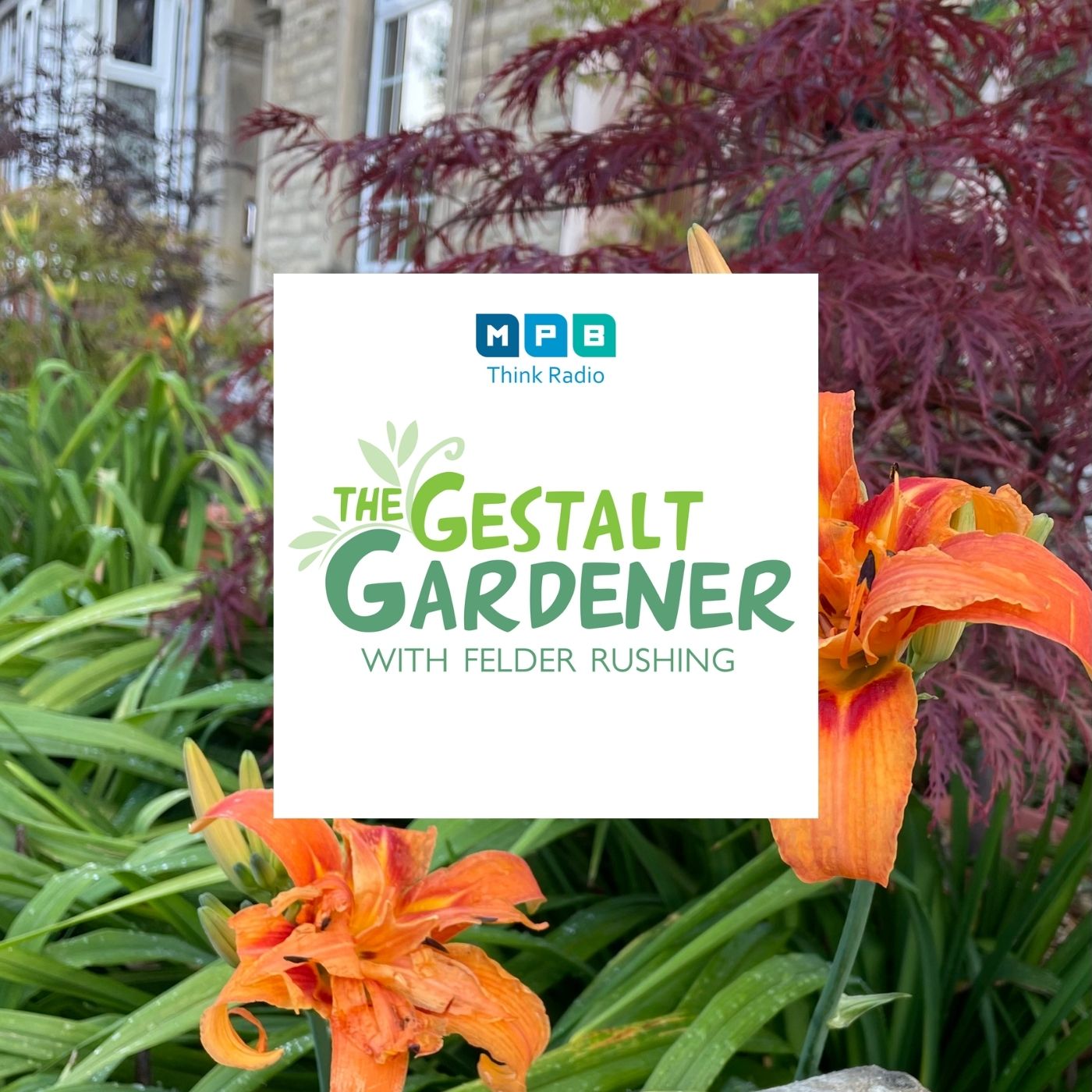 The Gestalt Gardener | Bye Bye July