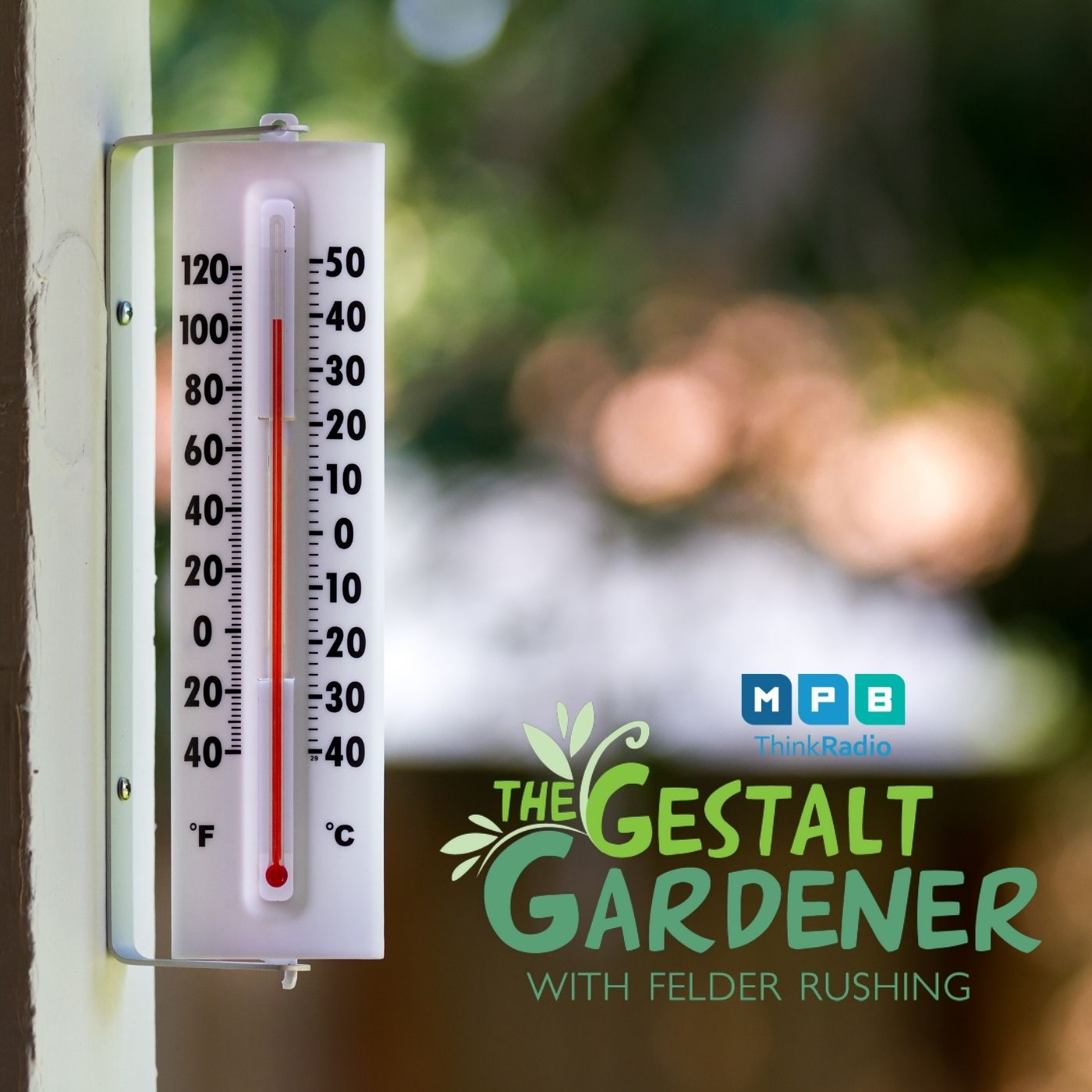 The Gestalt Gardener | Heat Hot