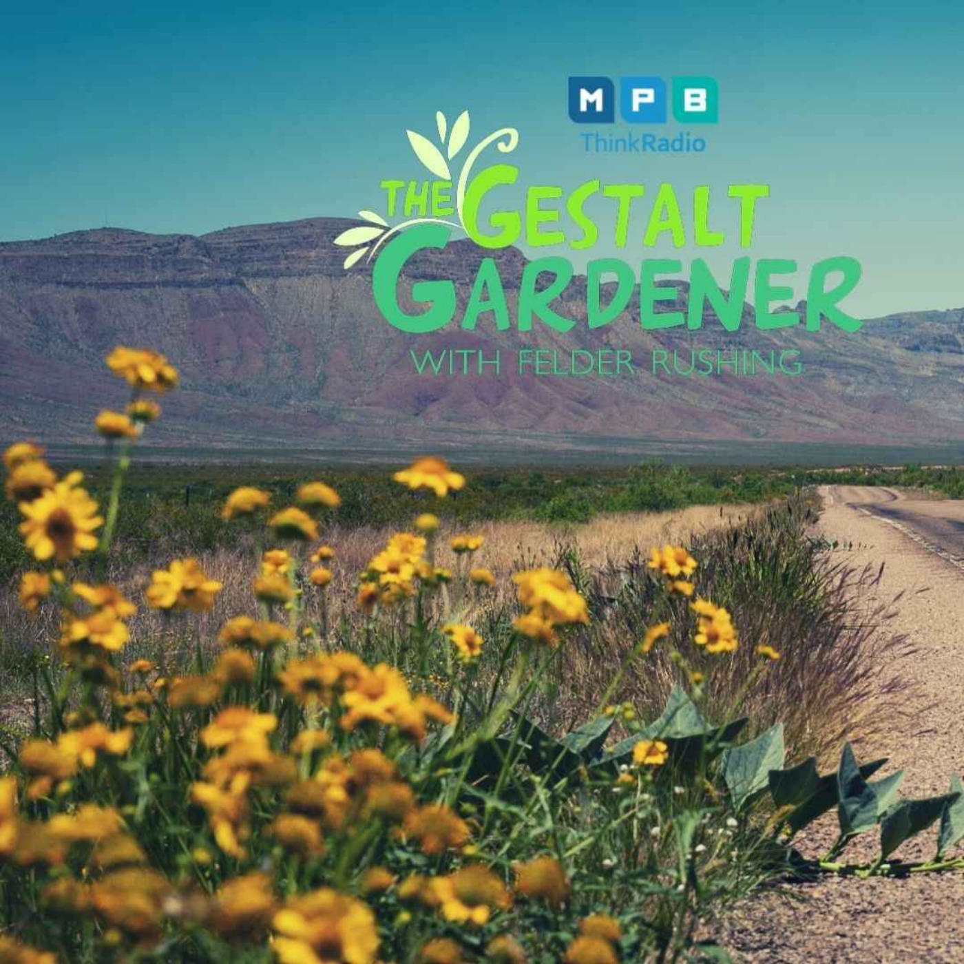 The Gestalt Gardener | West Texas Trip
