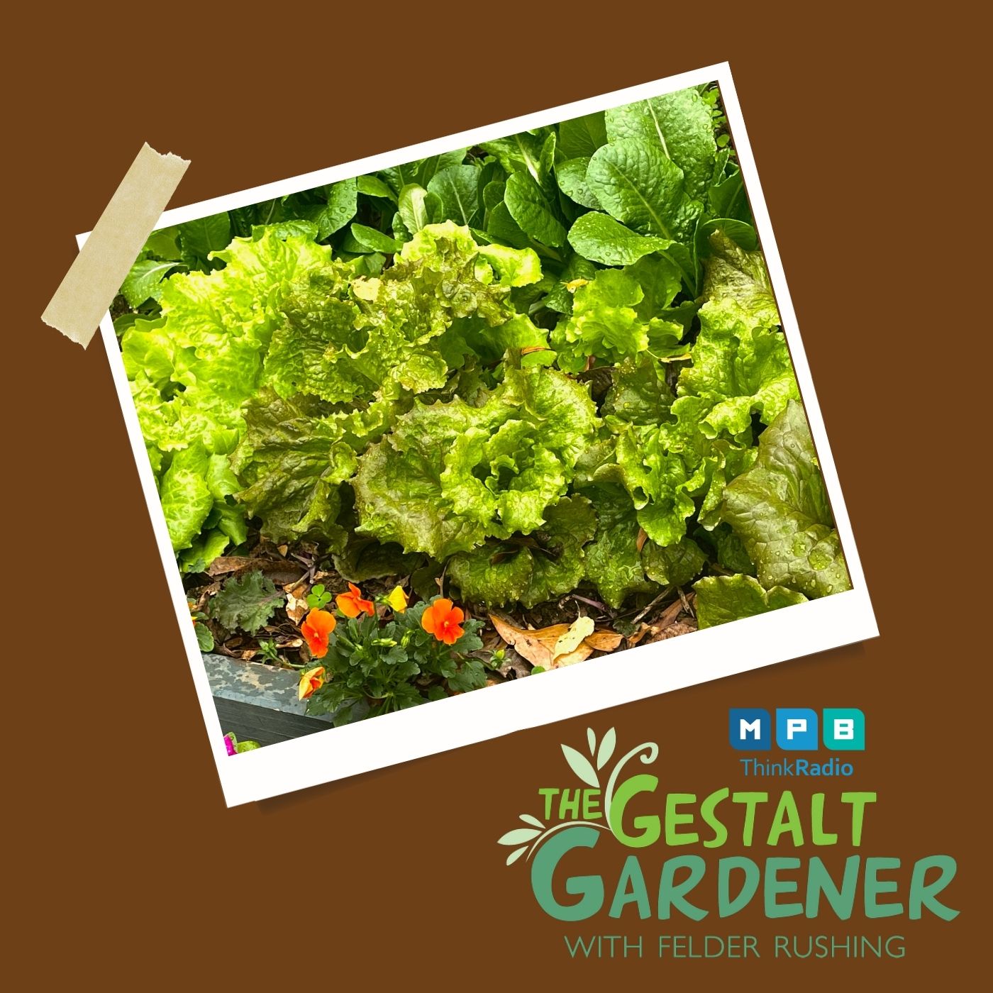 The Gestalt Gardener | Smug Lessons