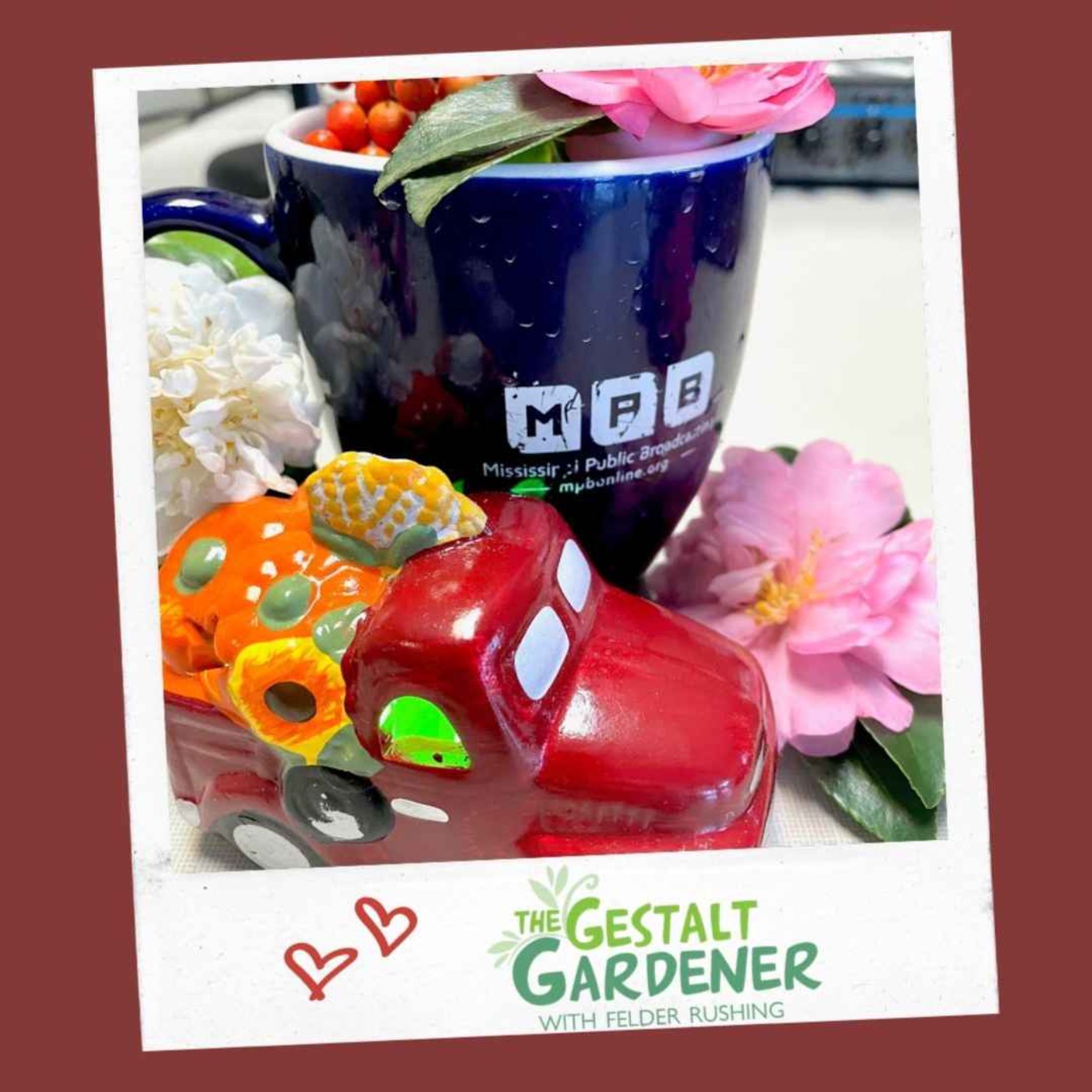 The Gestalt Gardener | Gift from Listener