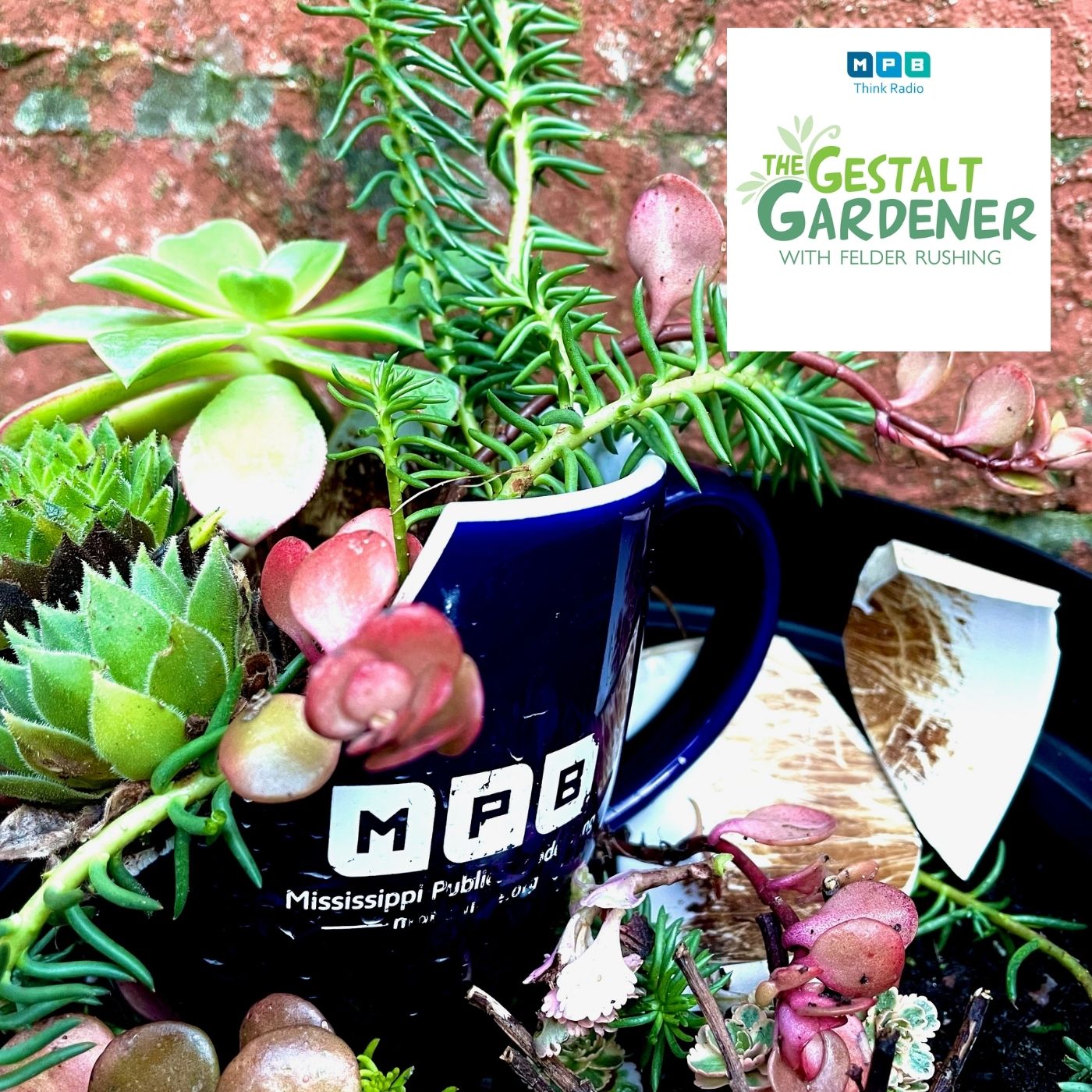 The Gestalt Gardener | The Broken Pieces