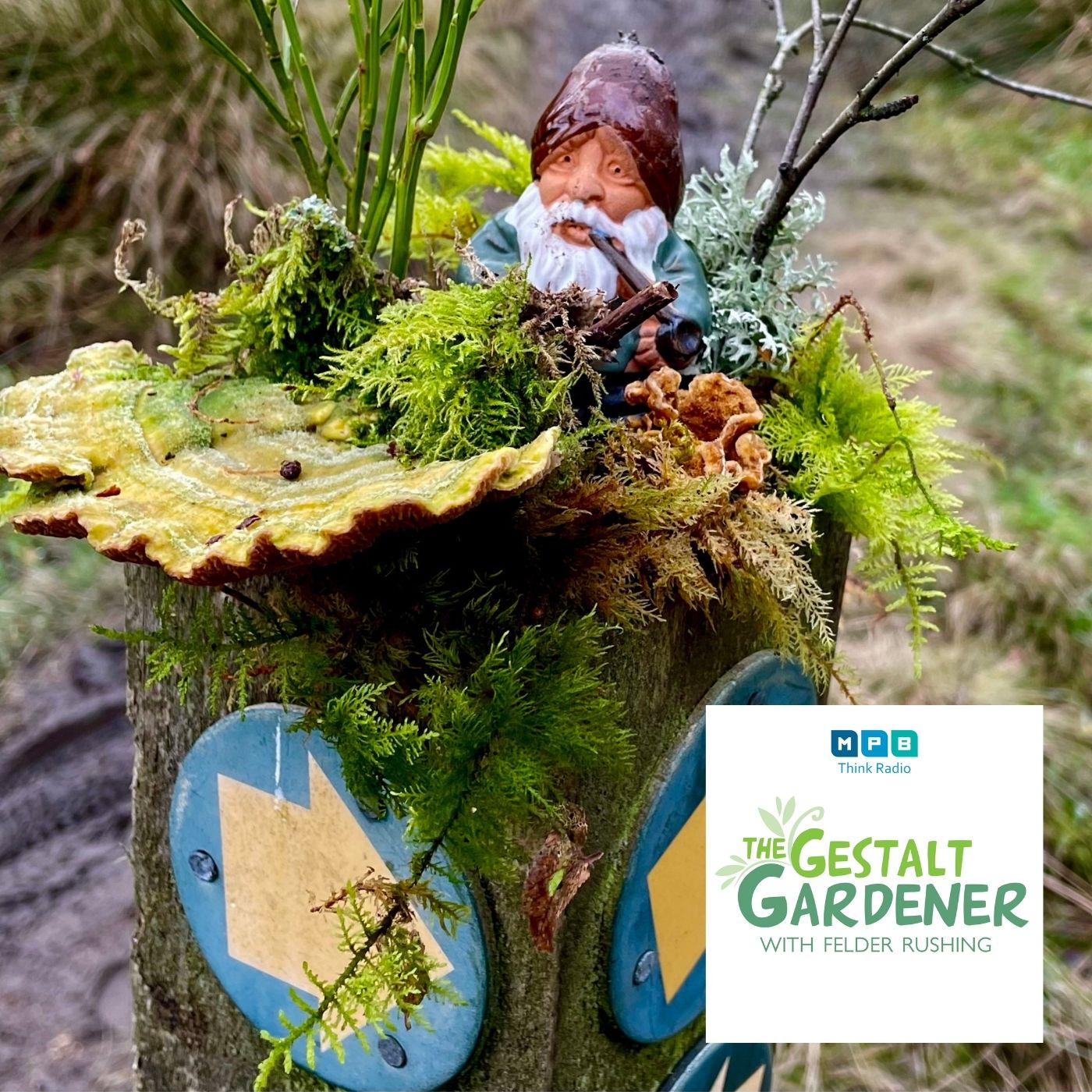 The Gestalt Gardener | Blustery Day