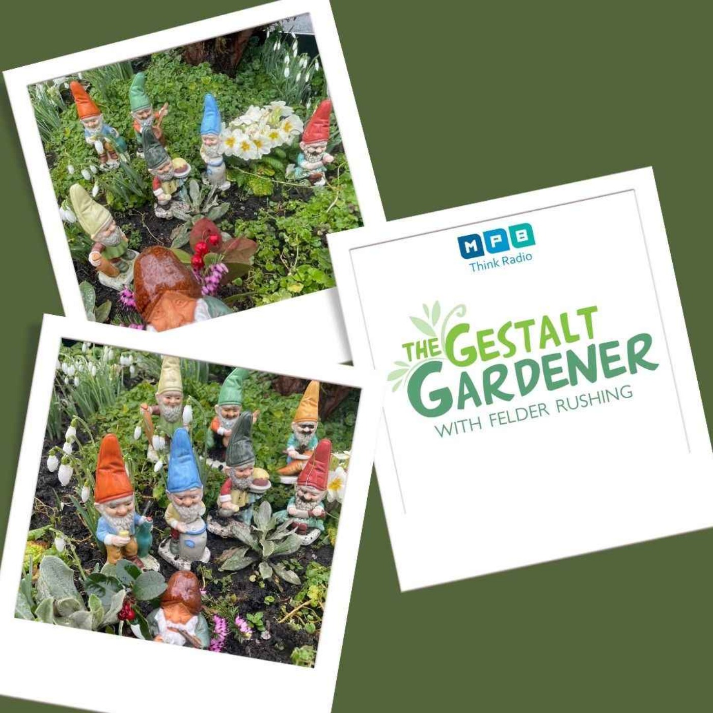 The Gestalt Gardener | Gnome Place Like Home