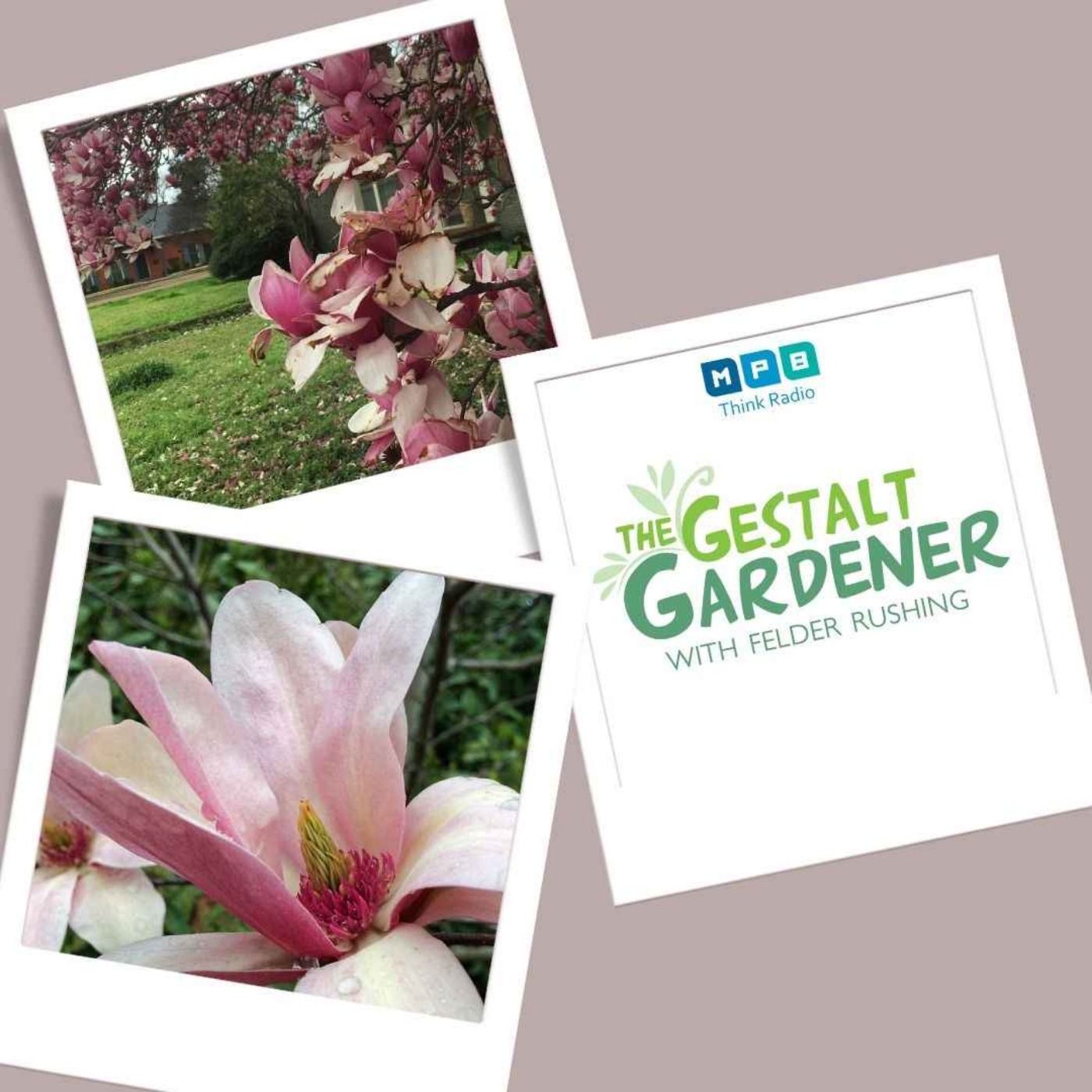 The Gestalt Gardener | Frost Blooms