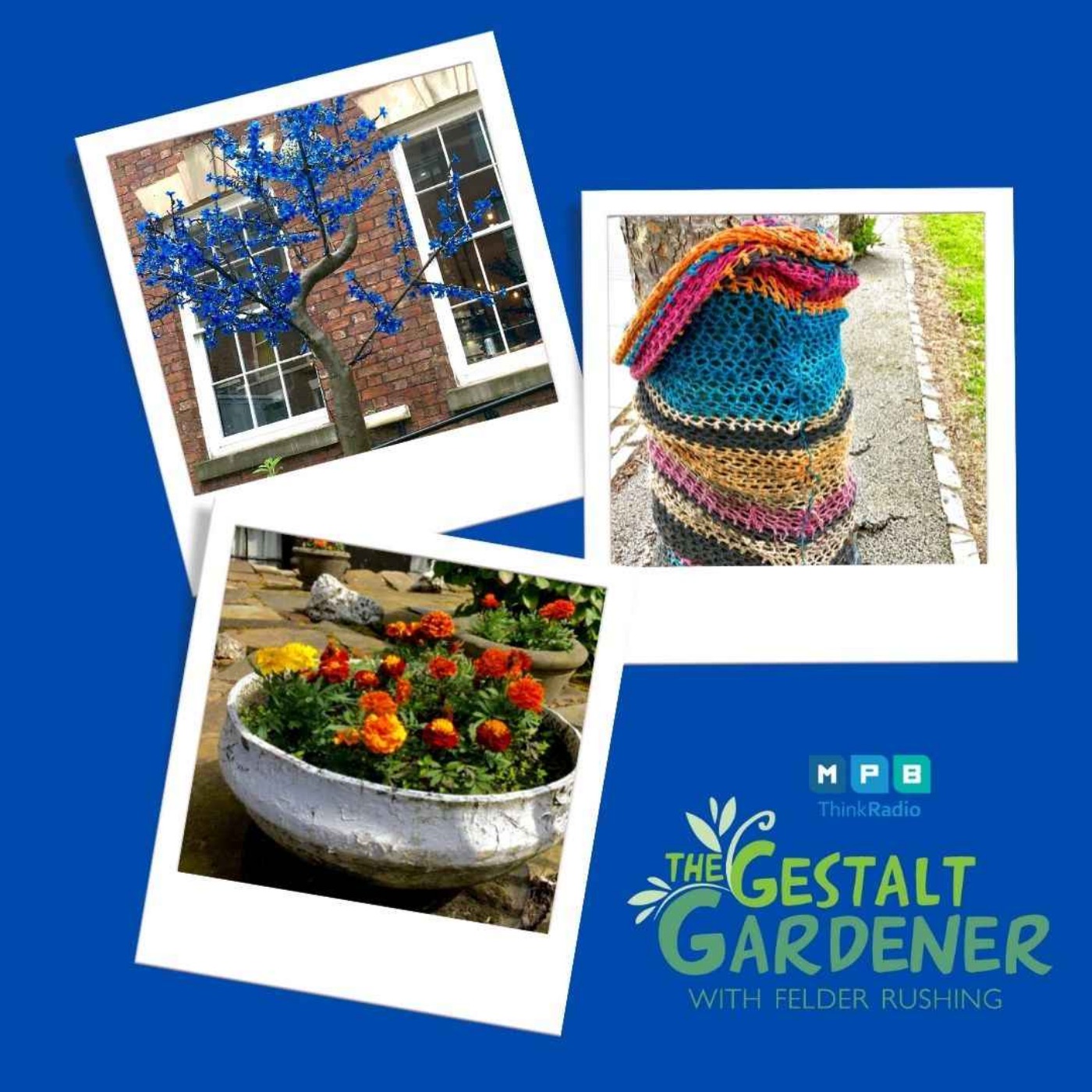 cover art for The Gestalt Gardener | Liverpool Living
