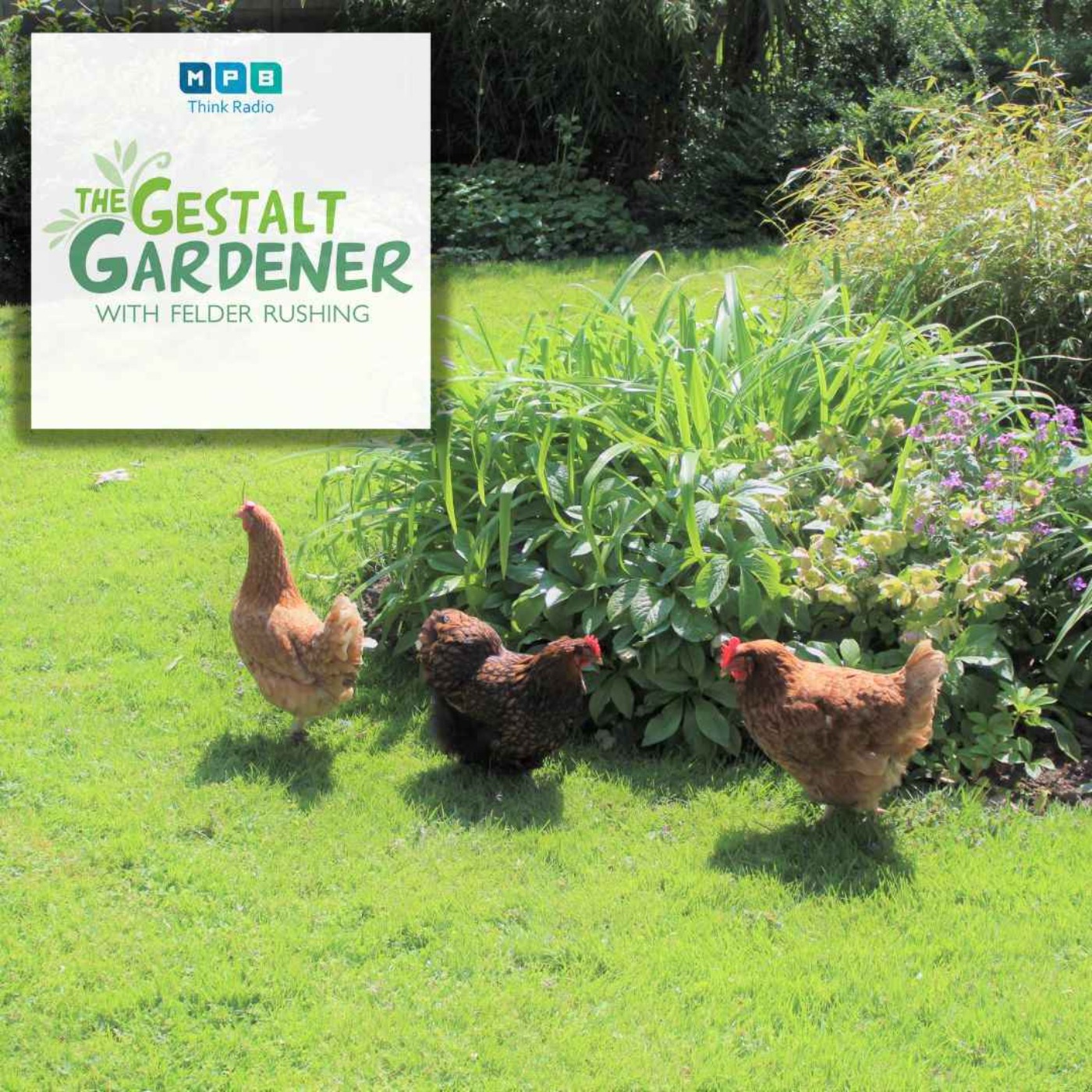 cover art for The Gestalt Gardener | Gardening & Farming with MPB Executive Director, Royal Aills & P. Allen Smith