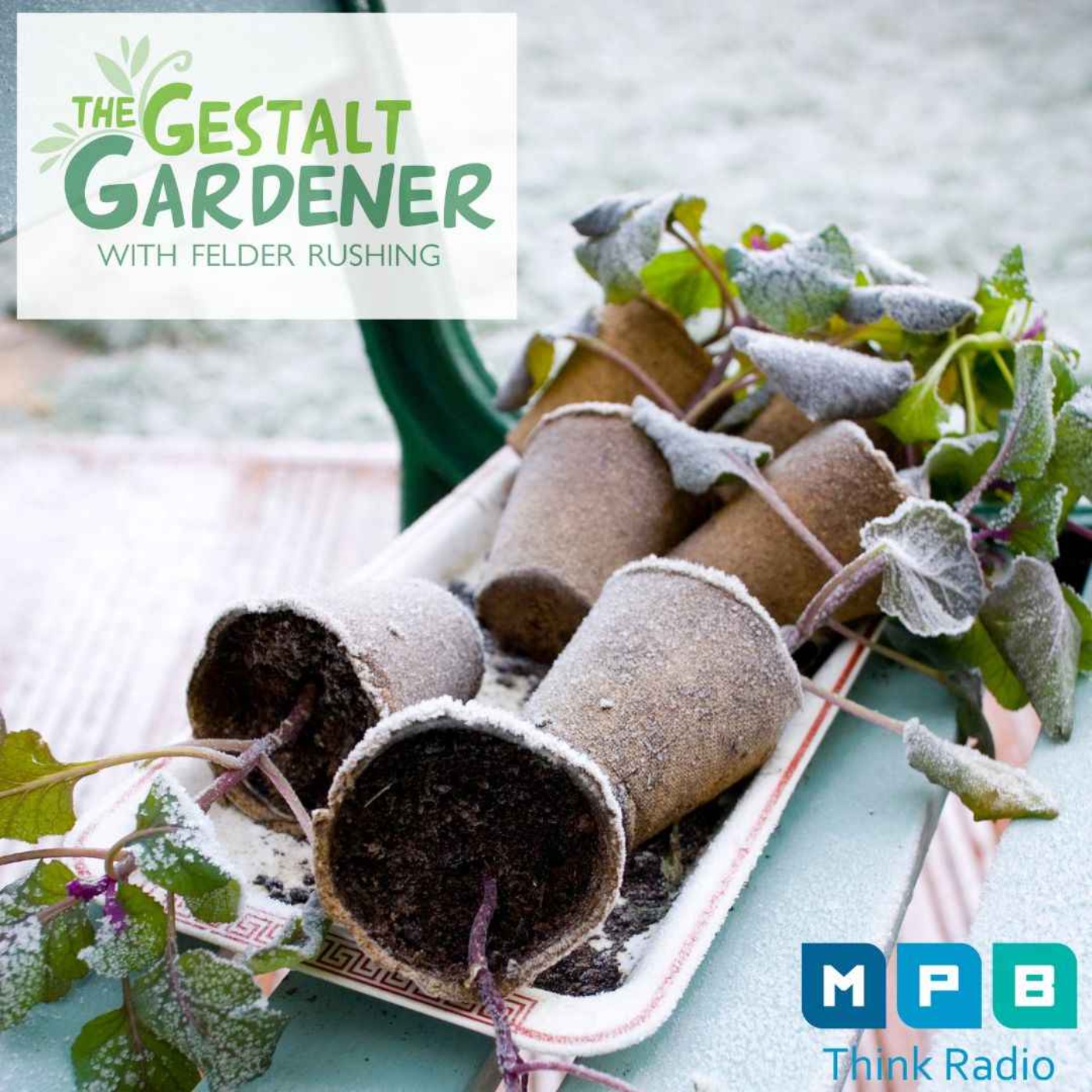 The Gestalt Gardener | Six More Weeks of Winter Gardening