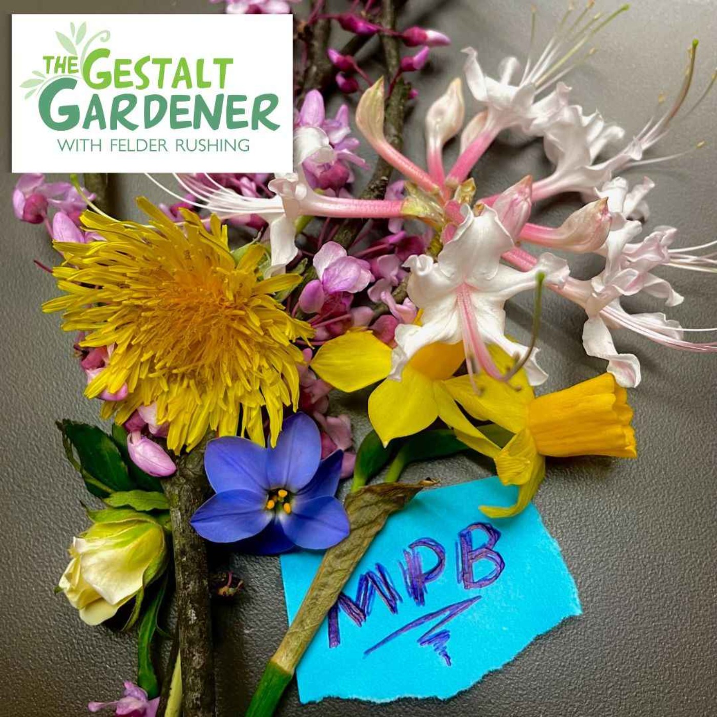 The Gestalt Gardener | Answers to Unasked Question